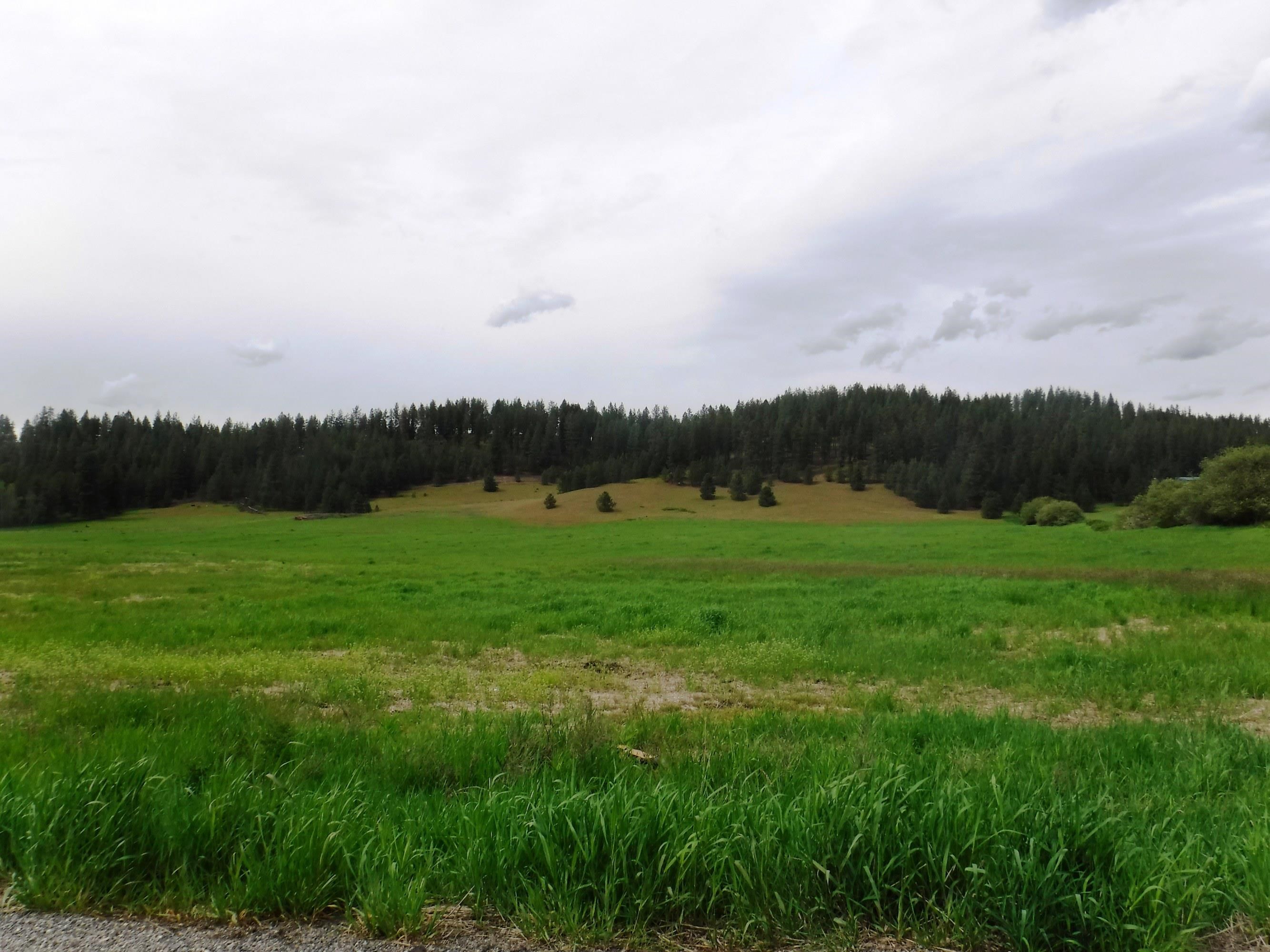 XX Woolard Rd - Photo 6
