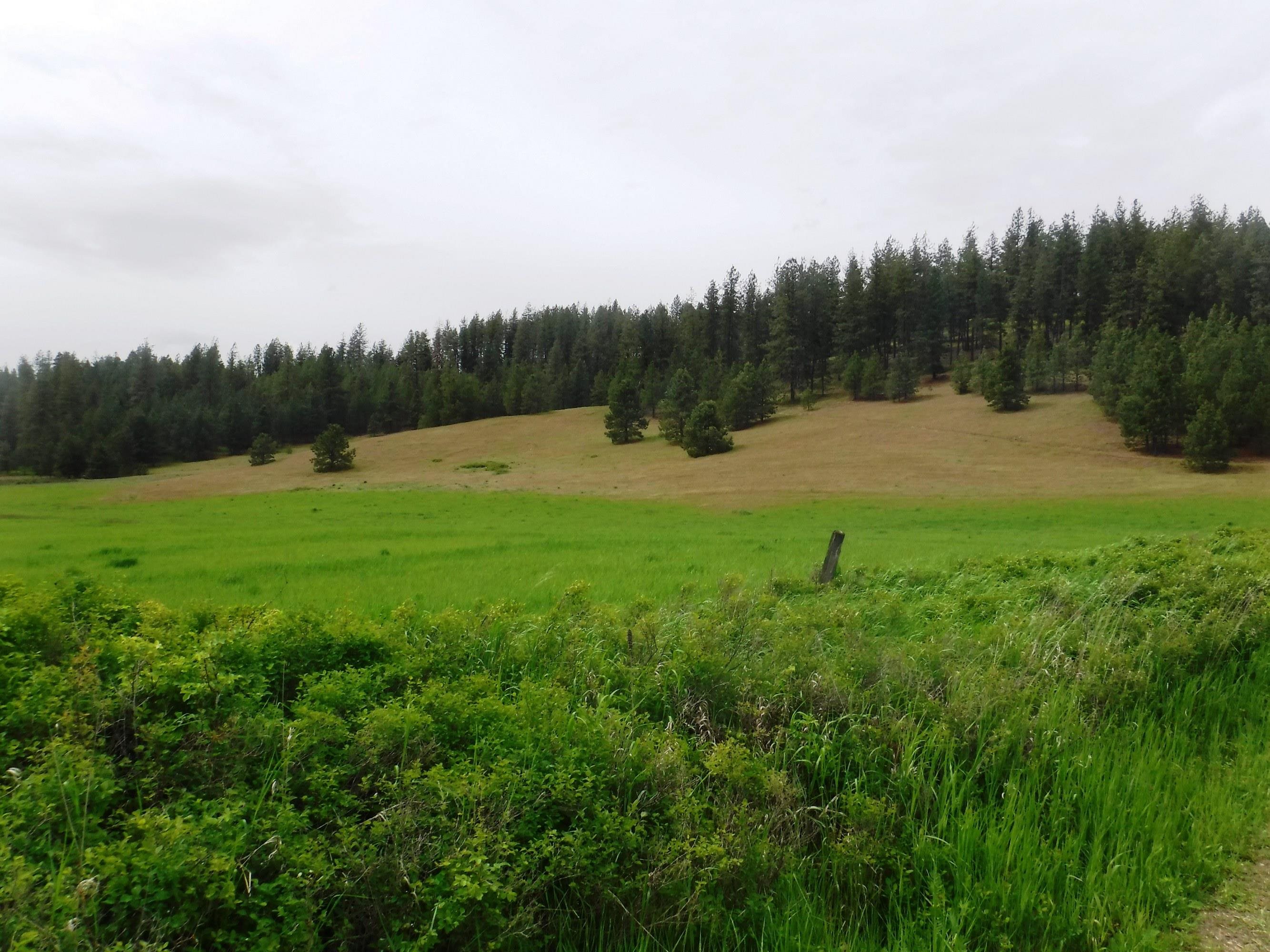 XX Woolard Rd - Photo 7