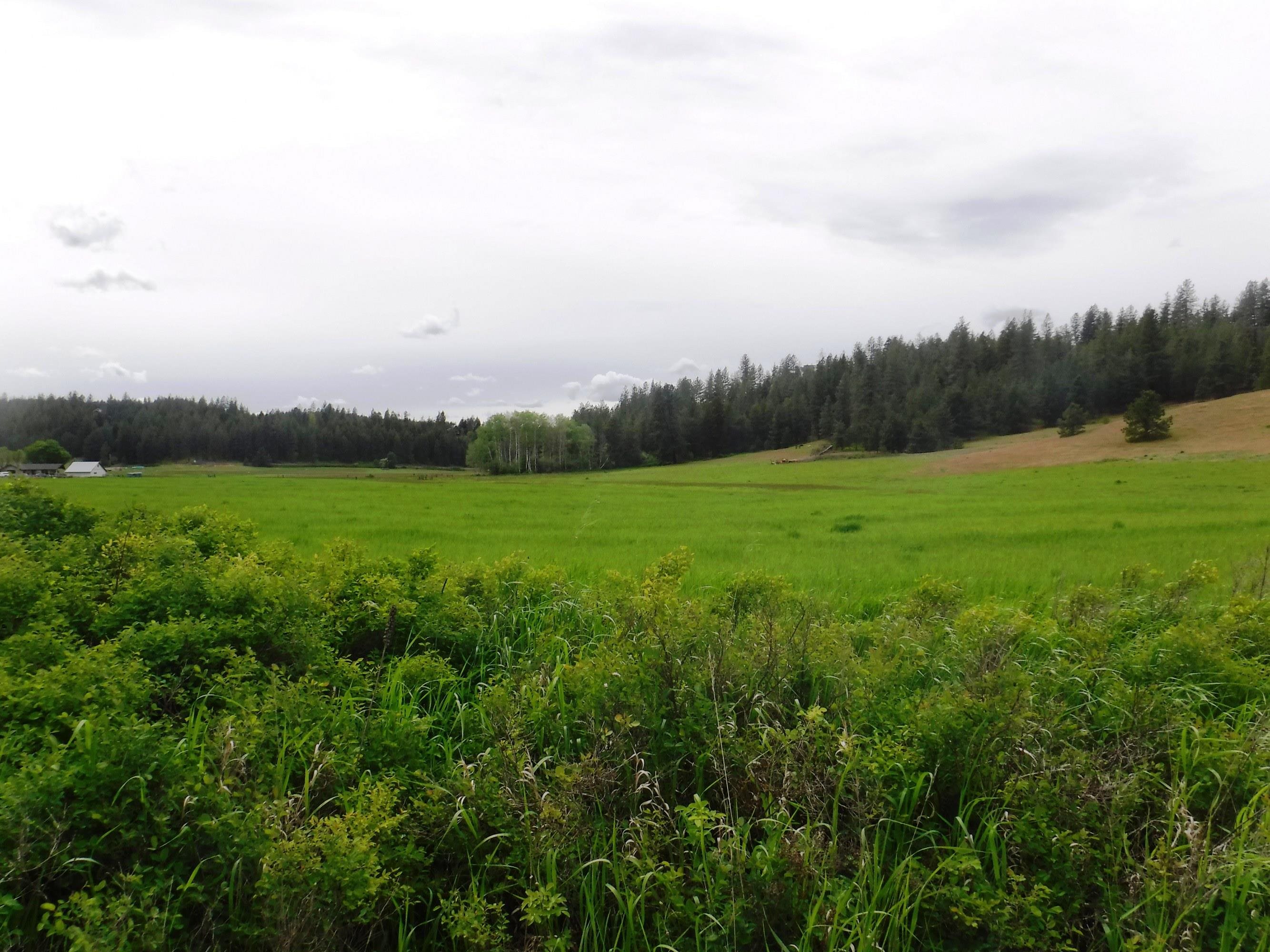 XX Woolard Rd - Photo 10
