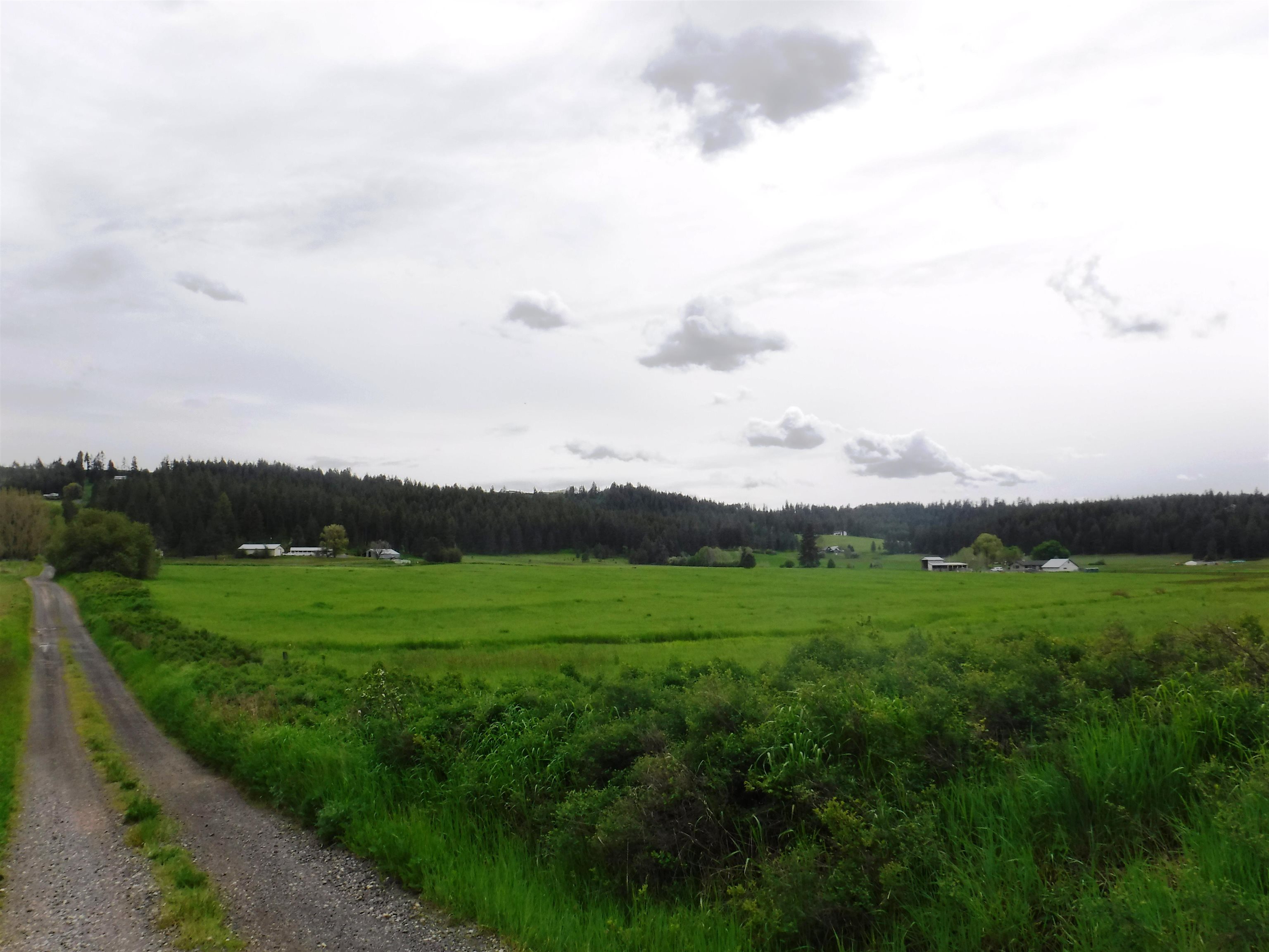 XX Woolard Rd - Photo 11