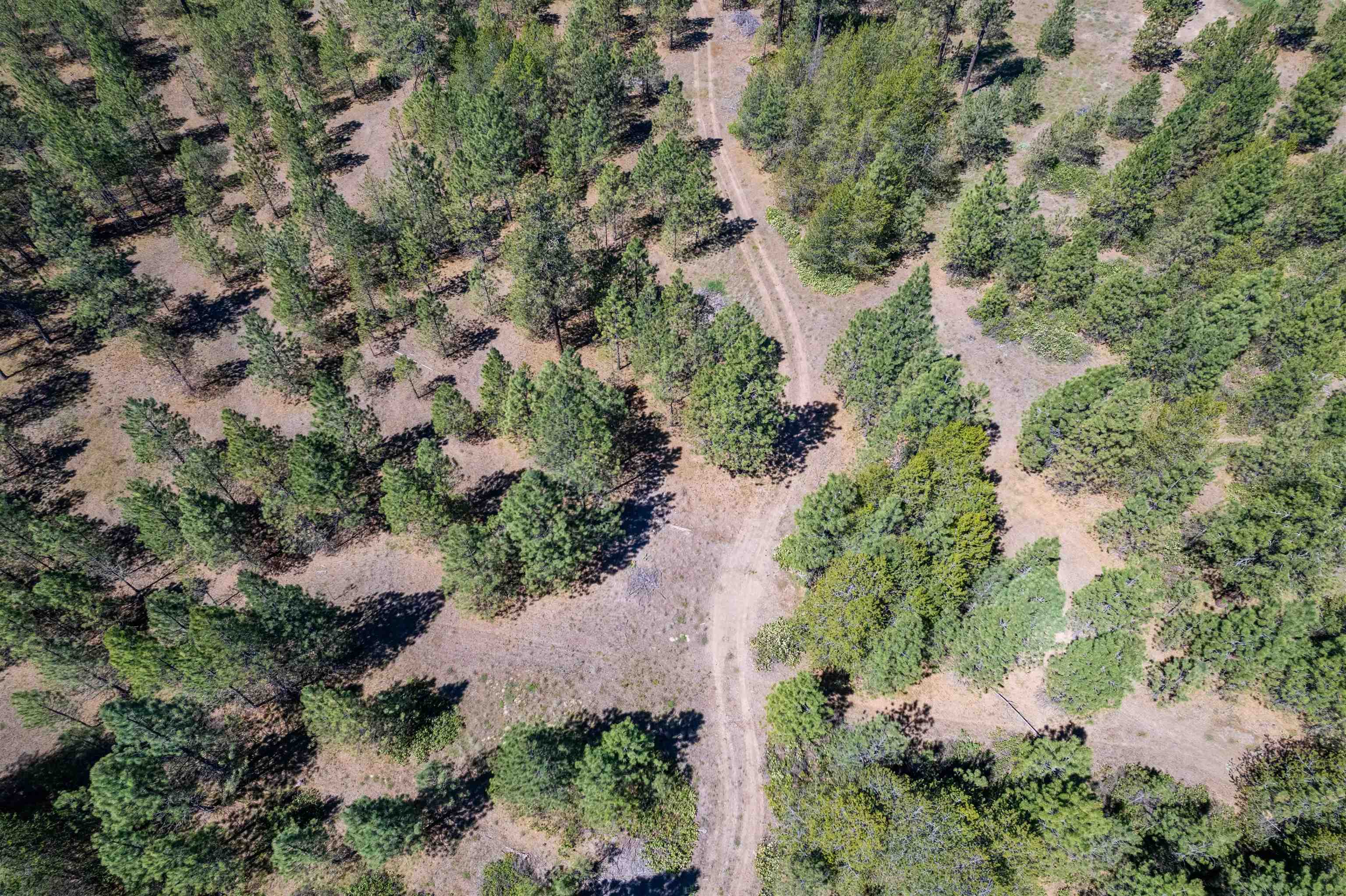 29XXX N Hardesty Rd - Photo 17