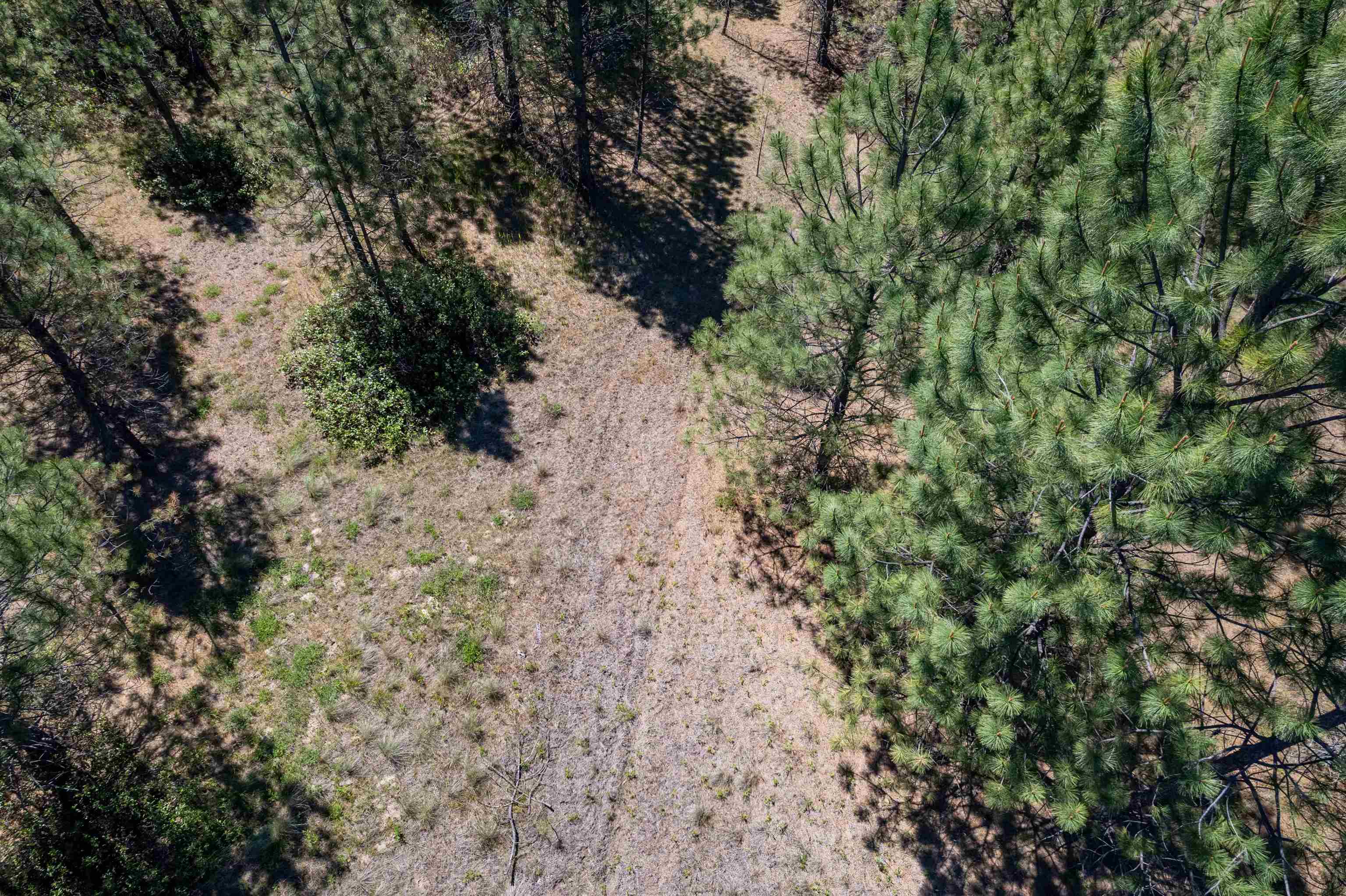 29XXX N Hardesty Rd - Photo 26