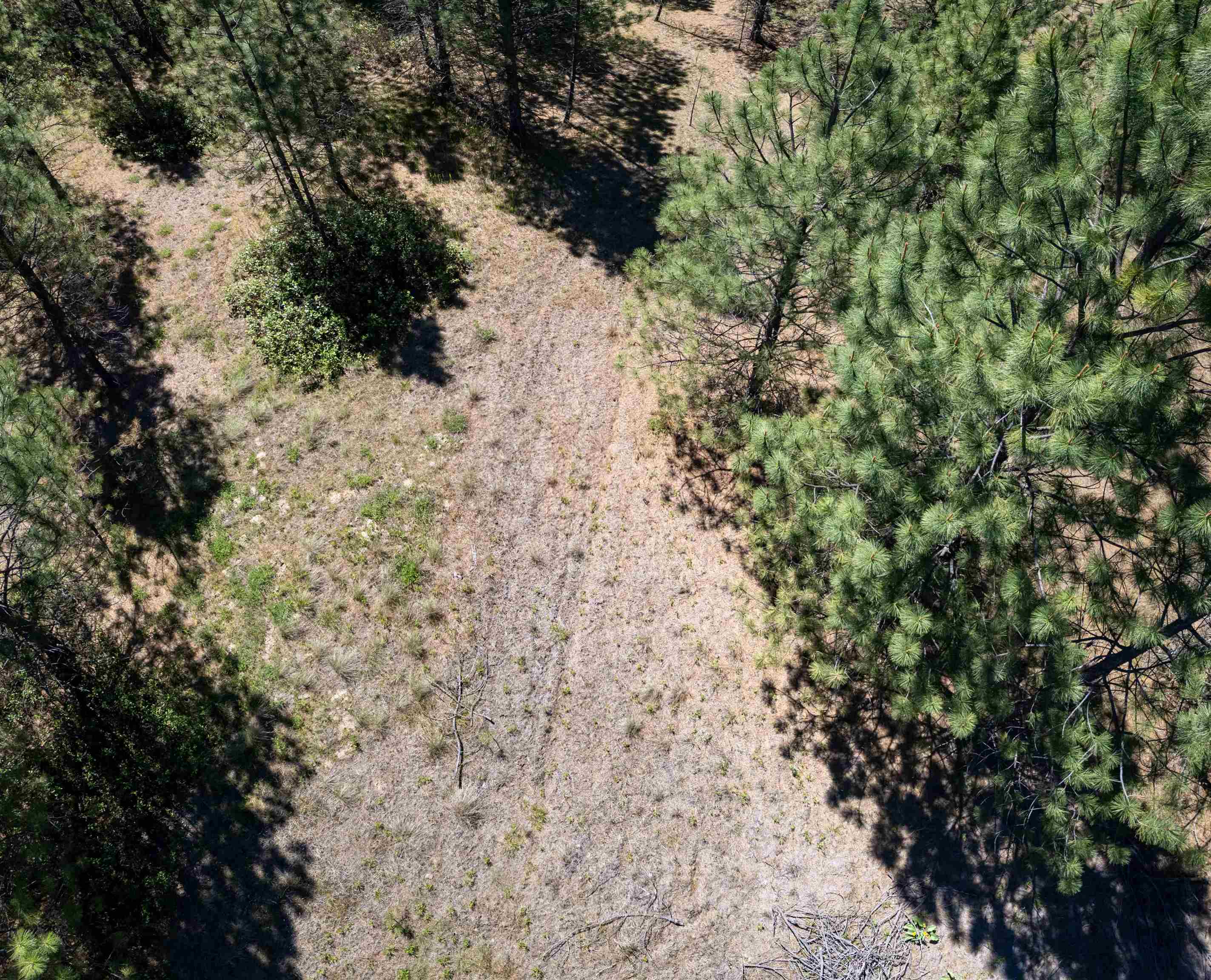 29XXX N Hardesty Rd - Photo 27