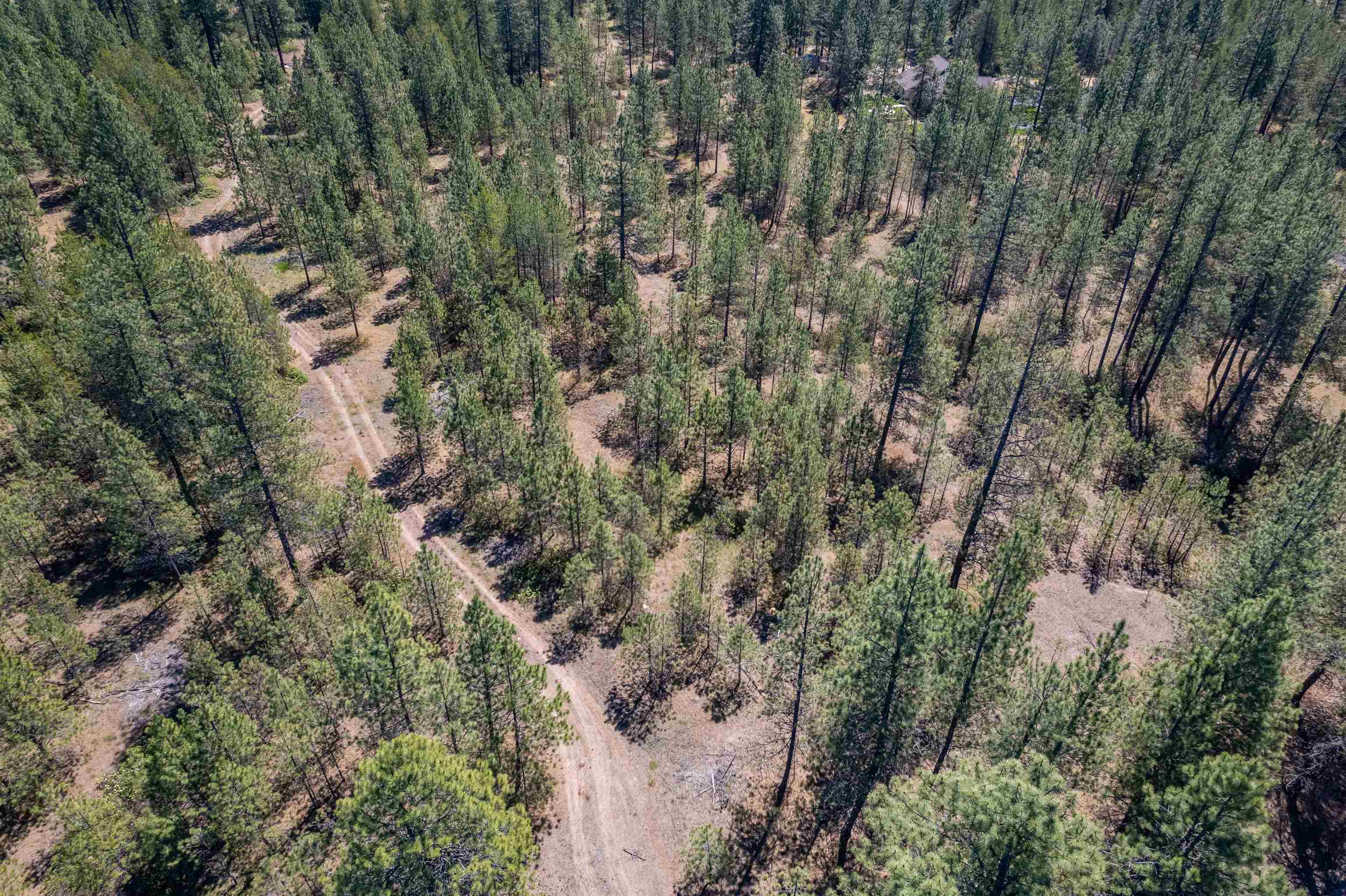 29XXX N Hardesty Rd - Photo 31