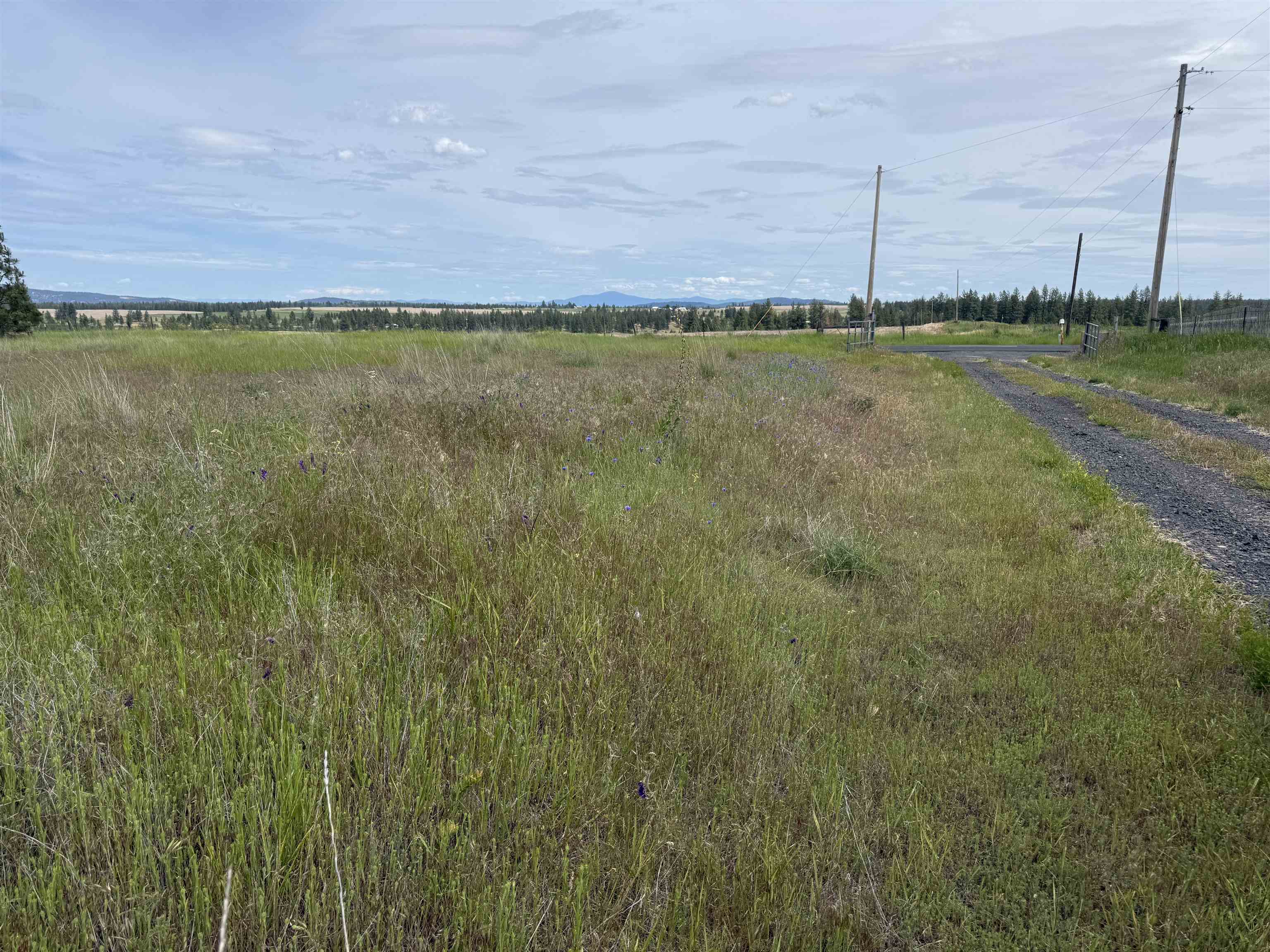 15211 N Wood Rd - Photo 15