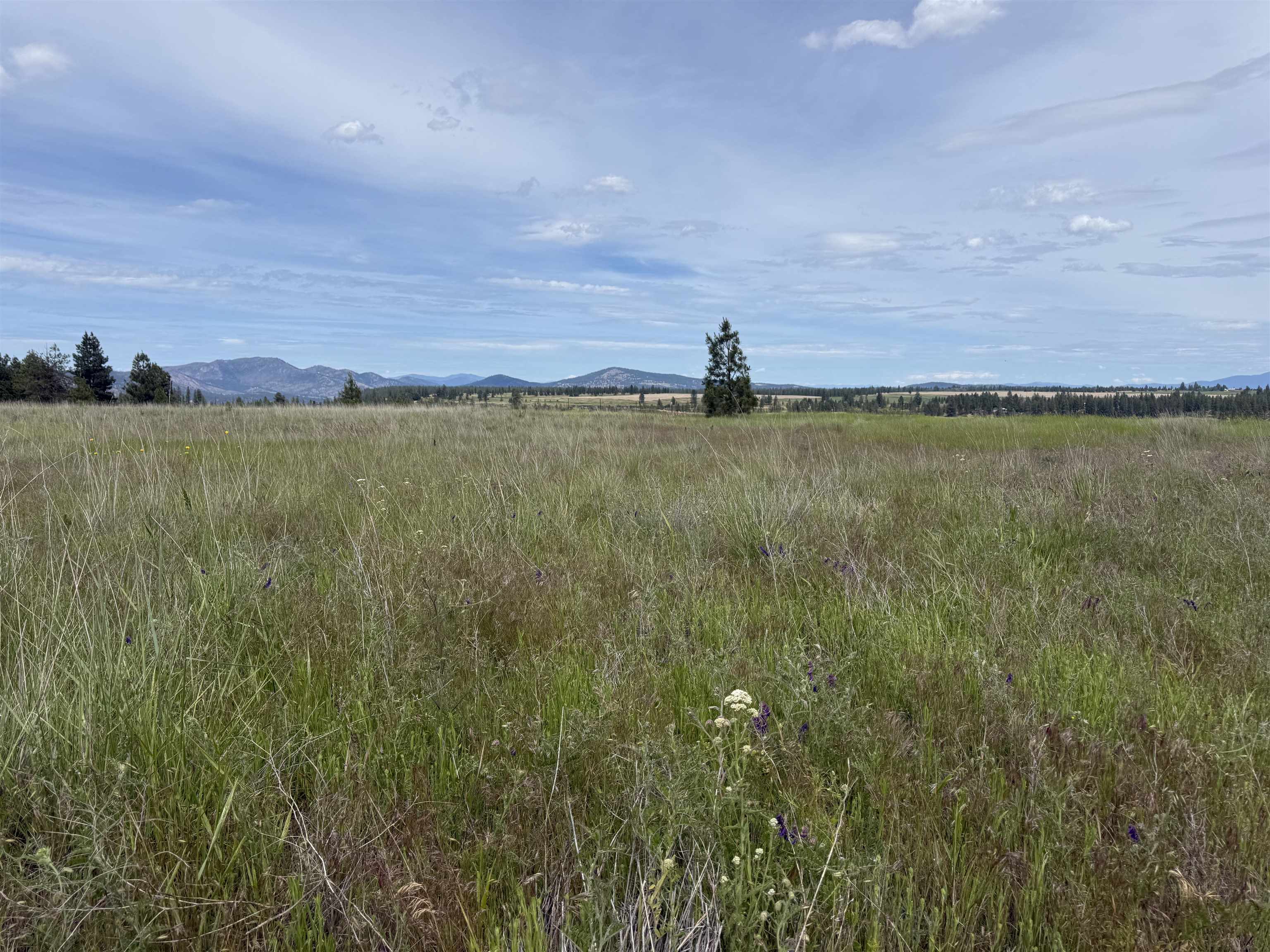 15211 N Wood Rd - Photo 16