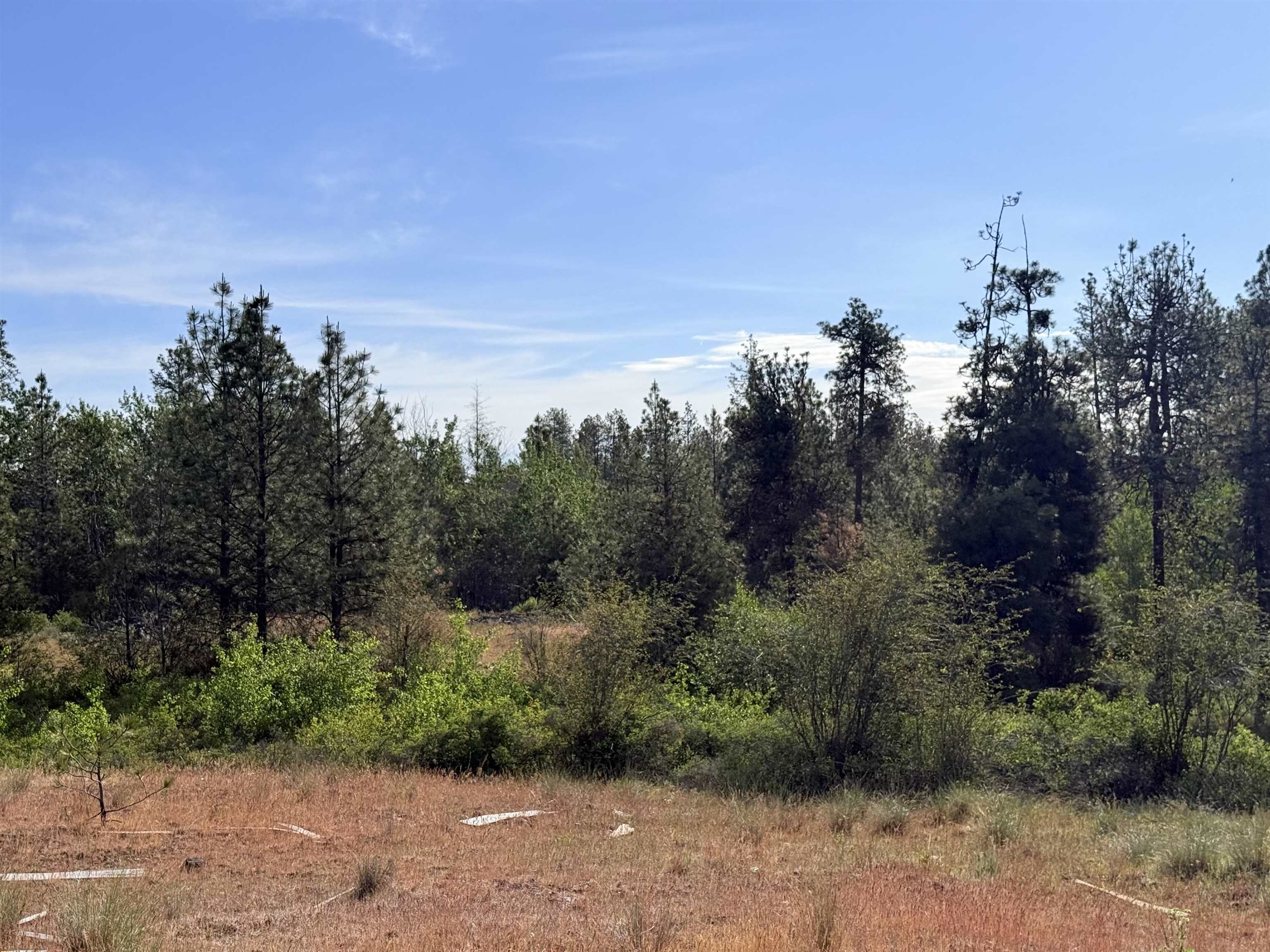 NNA Johns Rocky Way - Photo 11