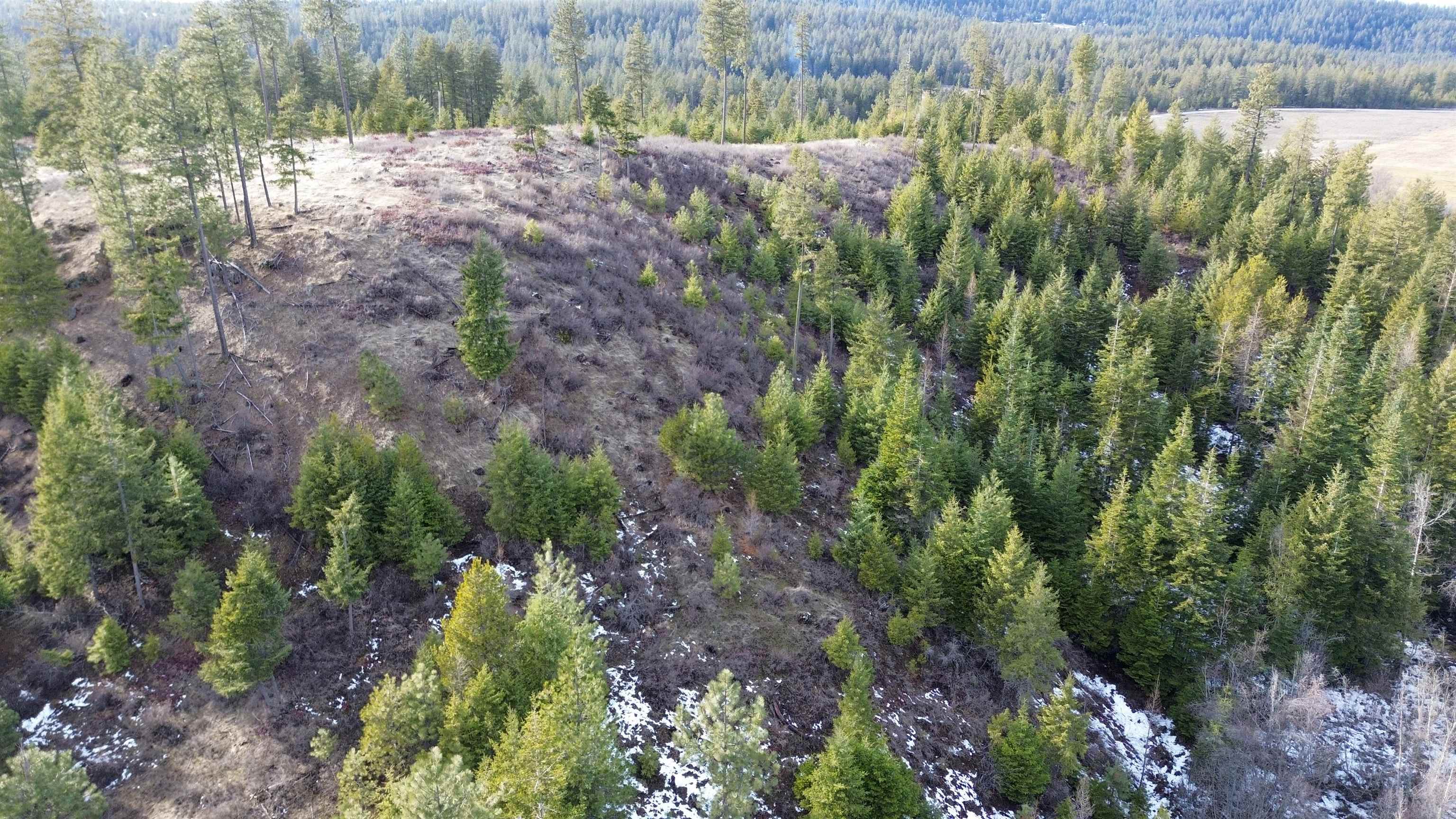 35XX Harms Way - Photo 15