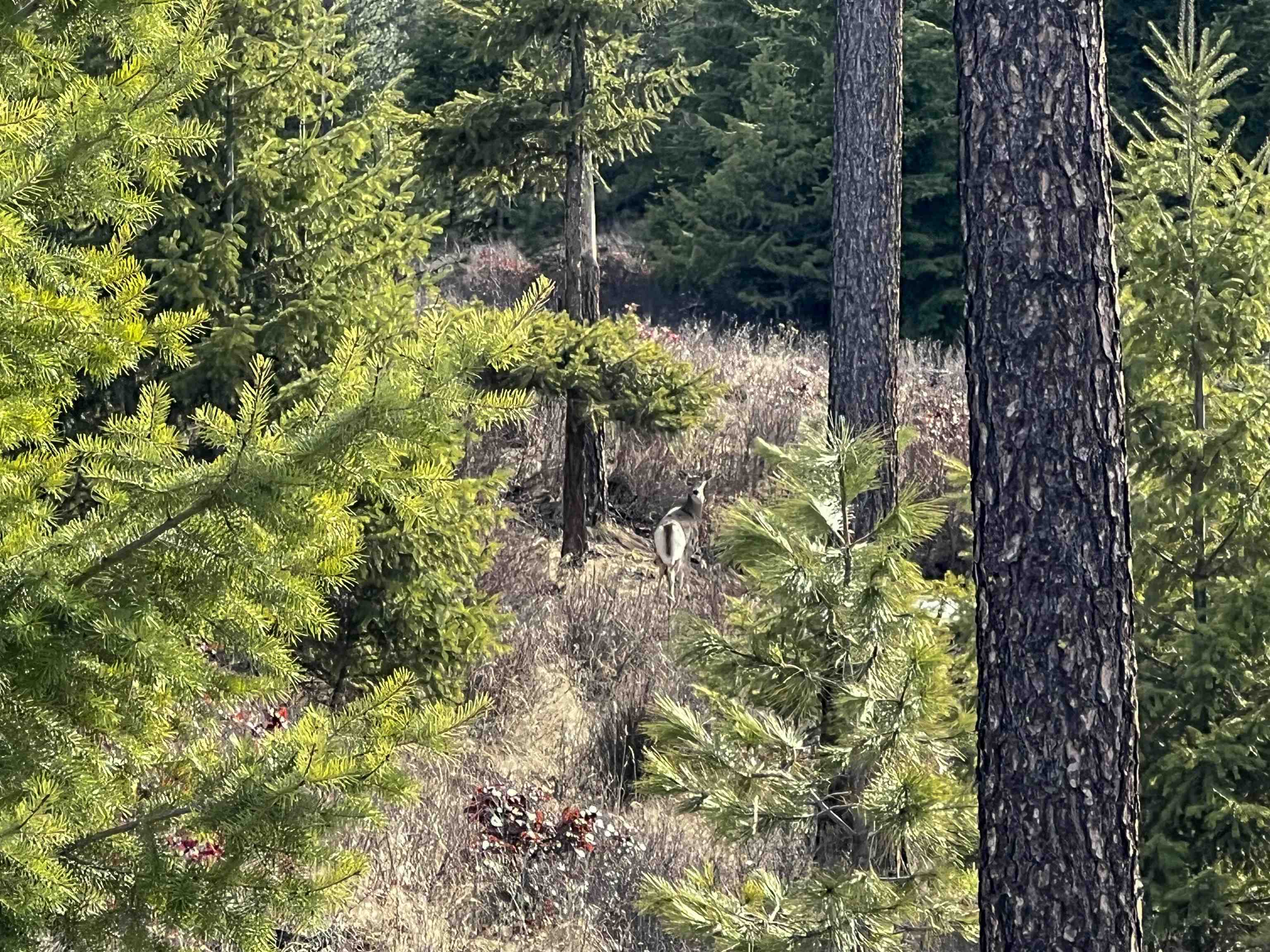 35XX Harms Way - Photo 31
