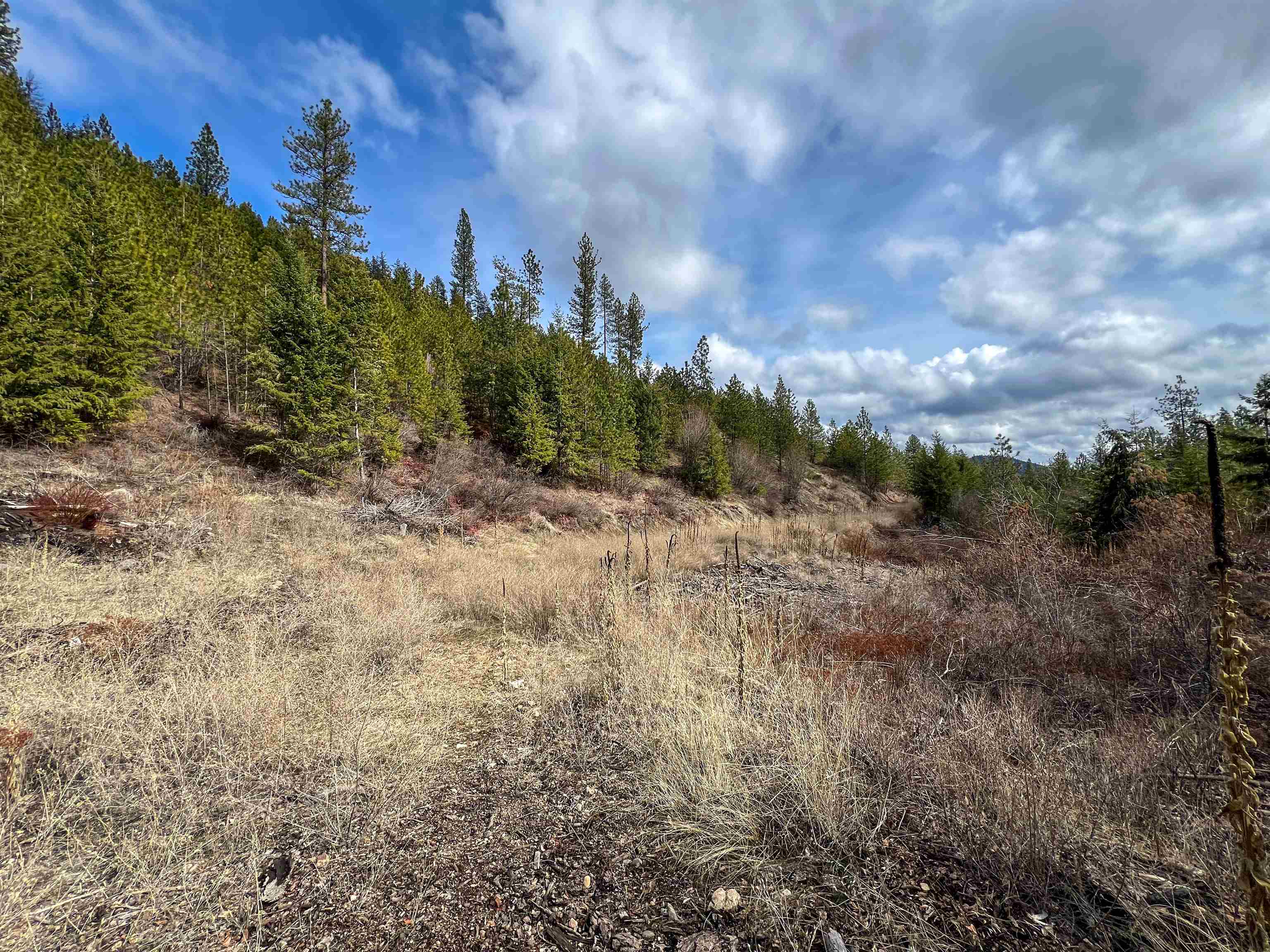 352X Greene Rd - Photo 3