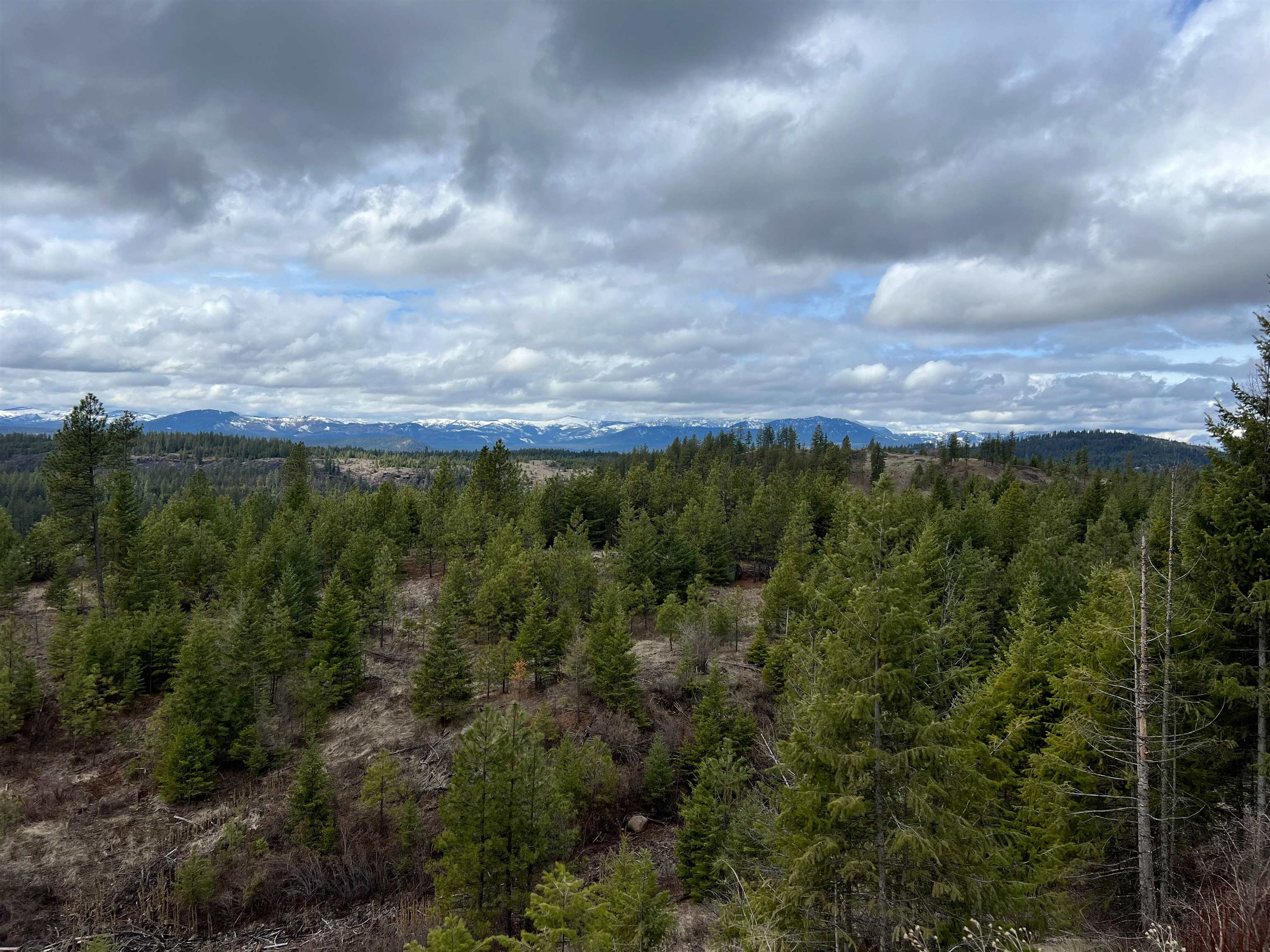 352X Greene Rd - Photo 4