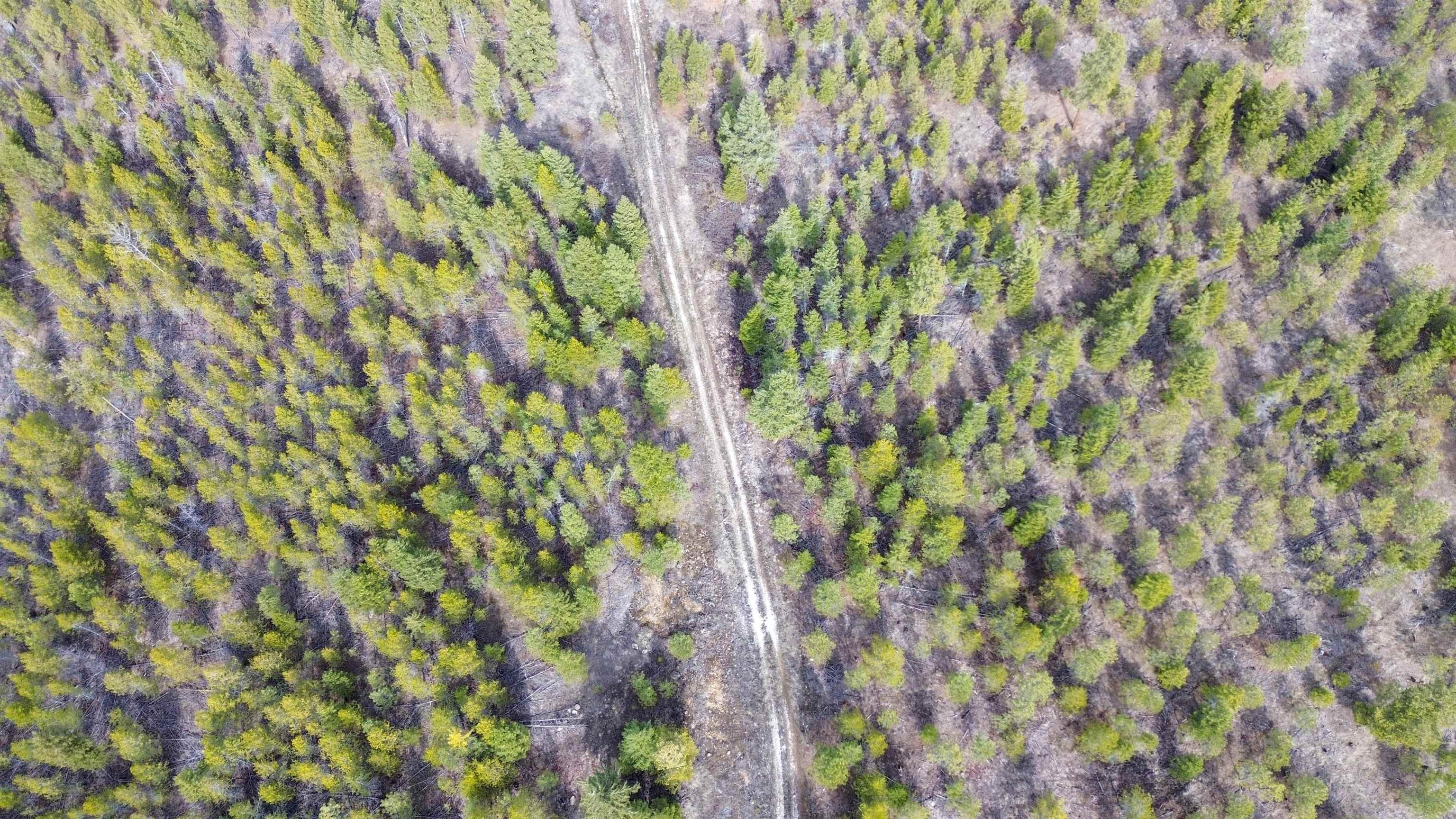 352X Greene Rd - Photo 7