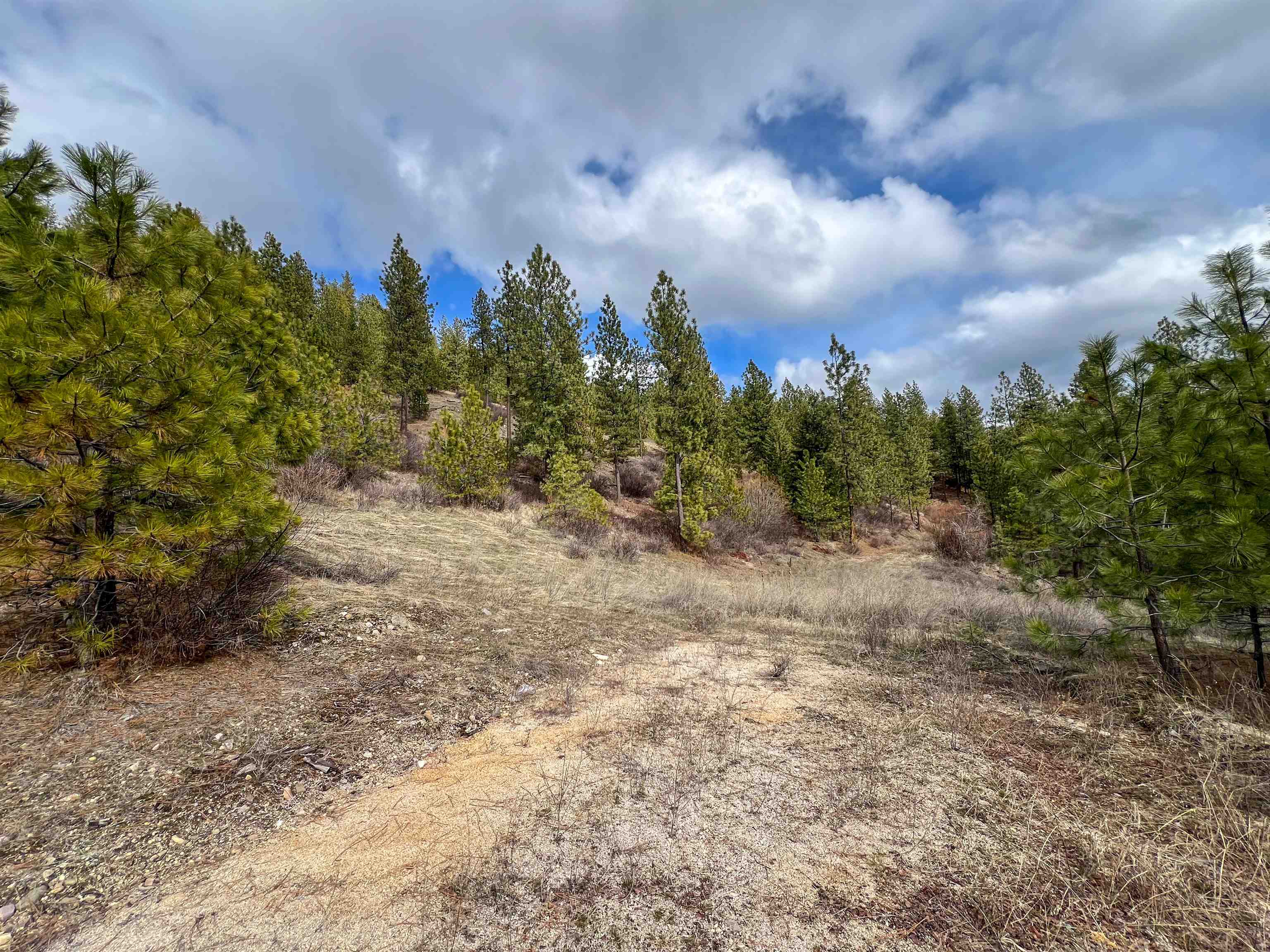 352X Greene Rd - Photo 14