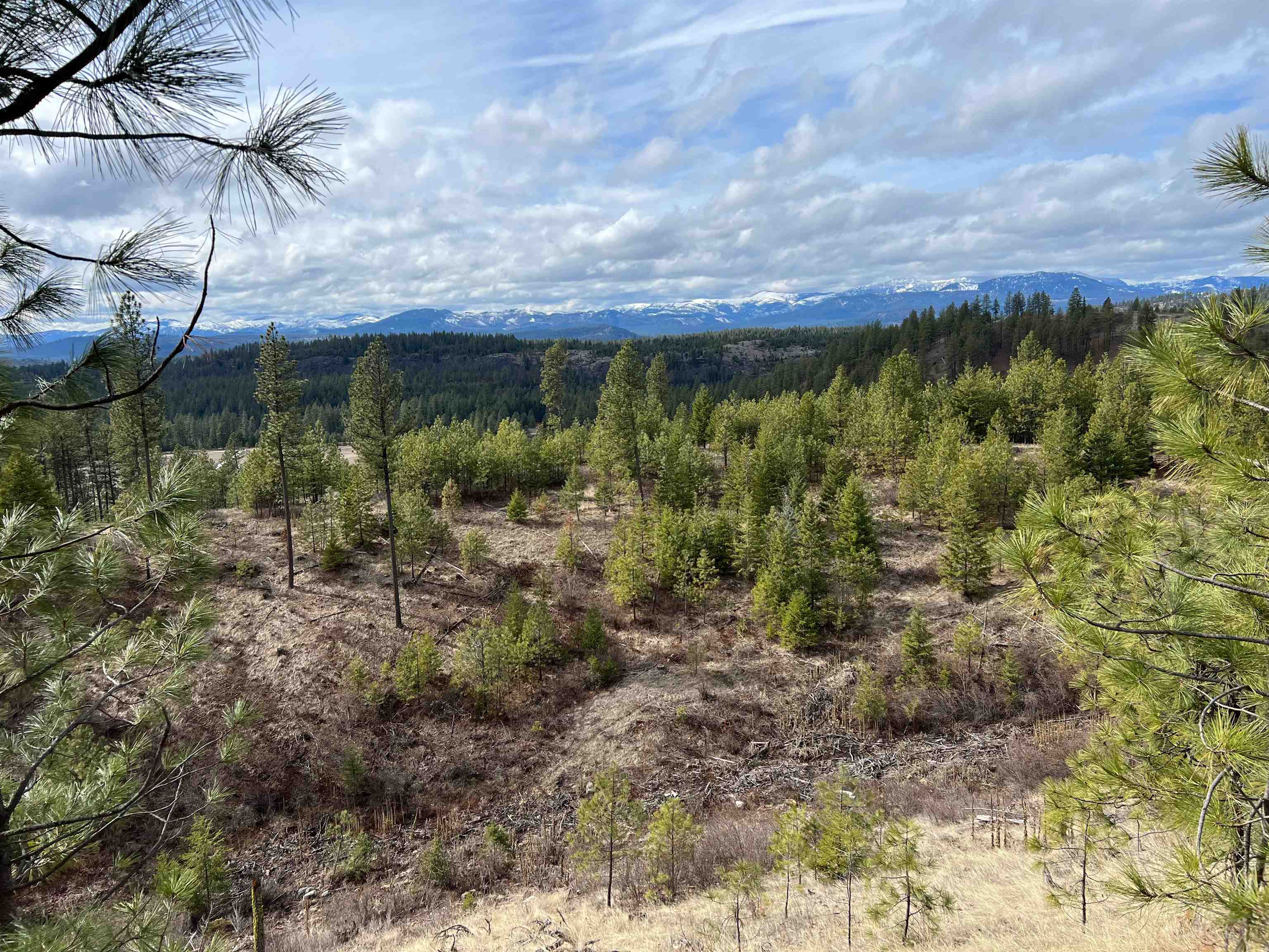 352X Greene Rd - Photo 16