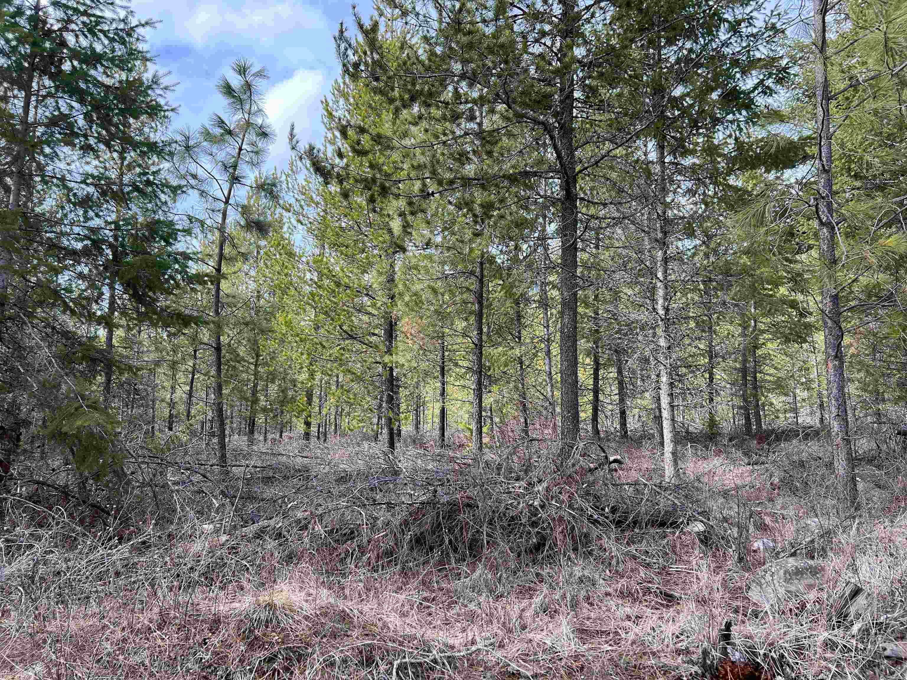 352X Greene Rd - Photo 24