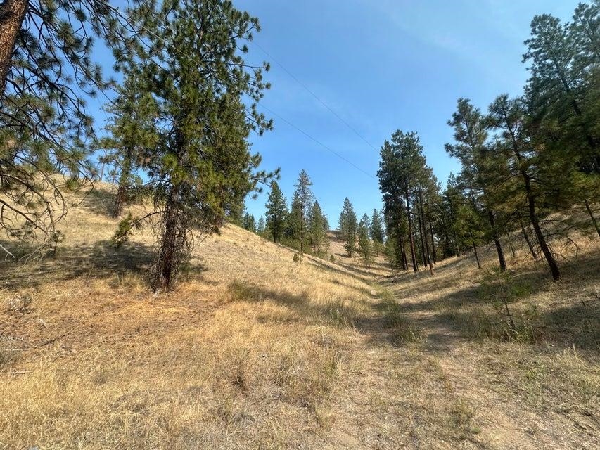 5699 C Hwy 231 Hwy - Photo 1