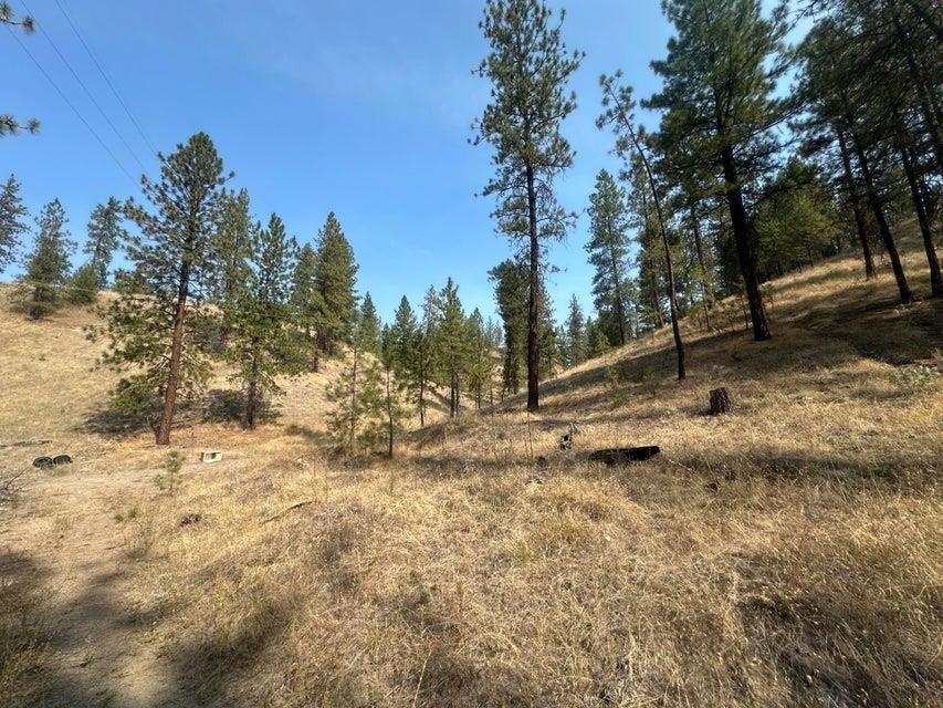 5699 C Hwy 231 Hwy - Photo 2