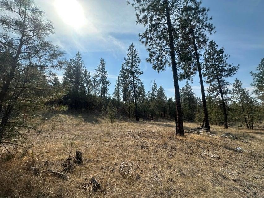 5699 C Hwy 231 Hwy - Photo 4