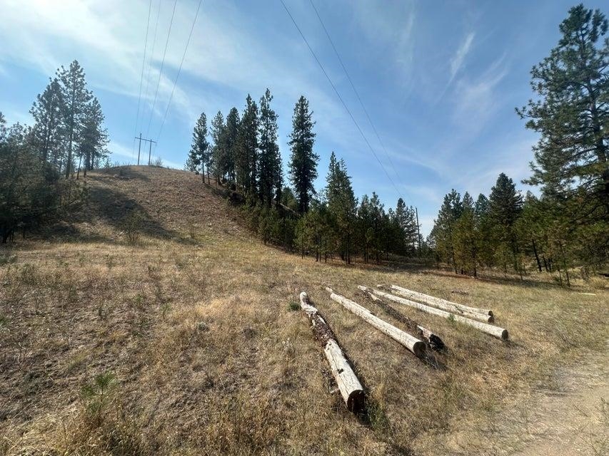 5699 C Hwy 231 Hwy - Photo 6