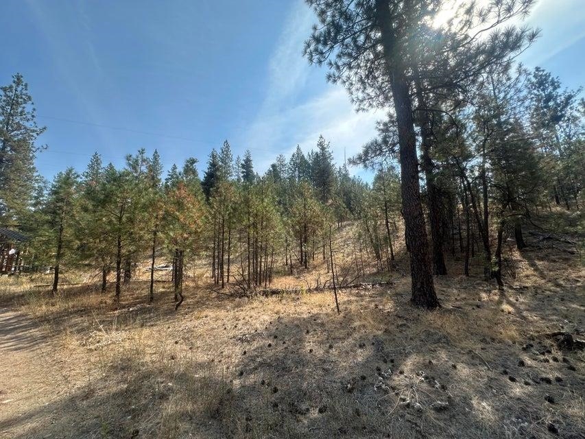 5699 C Hwy 231 Hwy - Photo 7