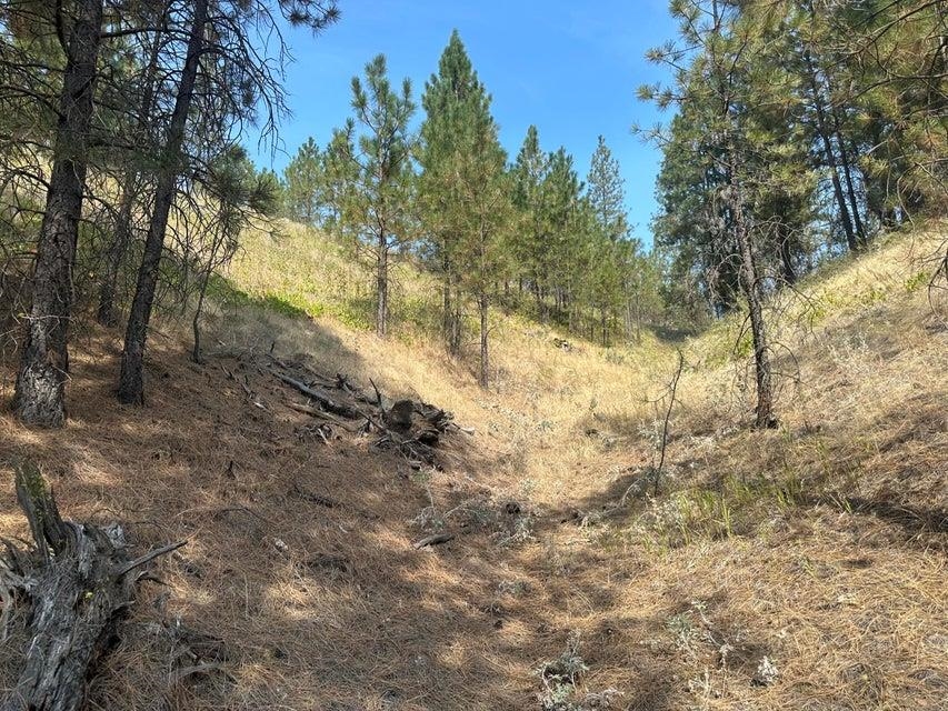 5699 C Hwy 231 Hwy - Photo 11