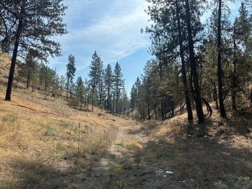 5699 C Hwy 231 Hwy - Photo 12