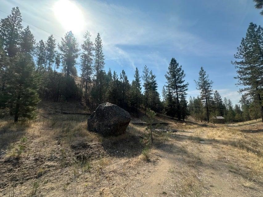 5699 C Hwy 231 Hwy - Photo 13