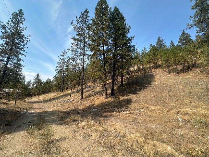 5699 C Hwy 231 Hwy - Photo 14