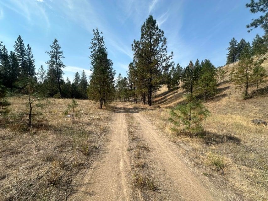 5699 C Hwy 231 Hwy - Photo 15