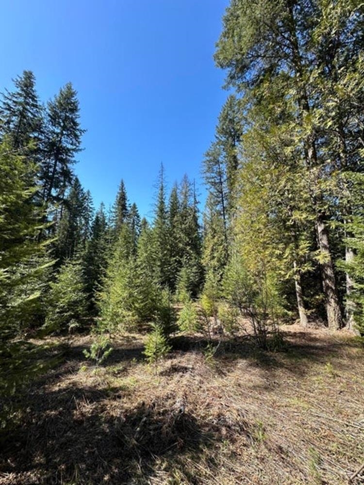 3928 Cedar Creek Rd - Photo 24