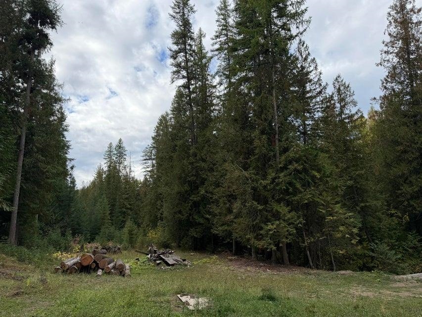 3928 Cedar Creek Rd - Photo 33