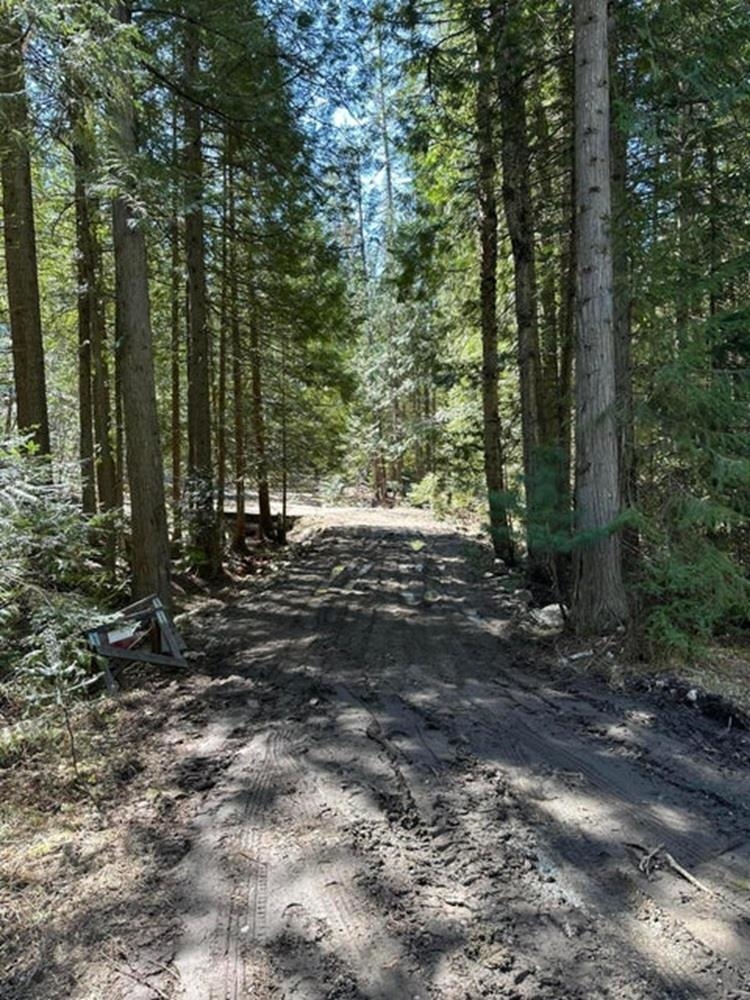 3928 Cedar Creek Rd - Photo 37