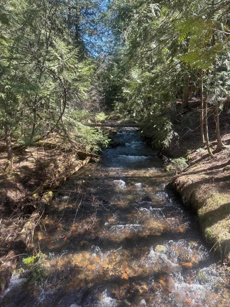 3928 Cedar Creek Rd - Photo 40