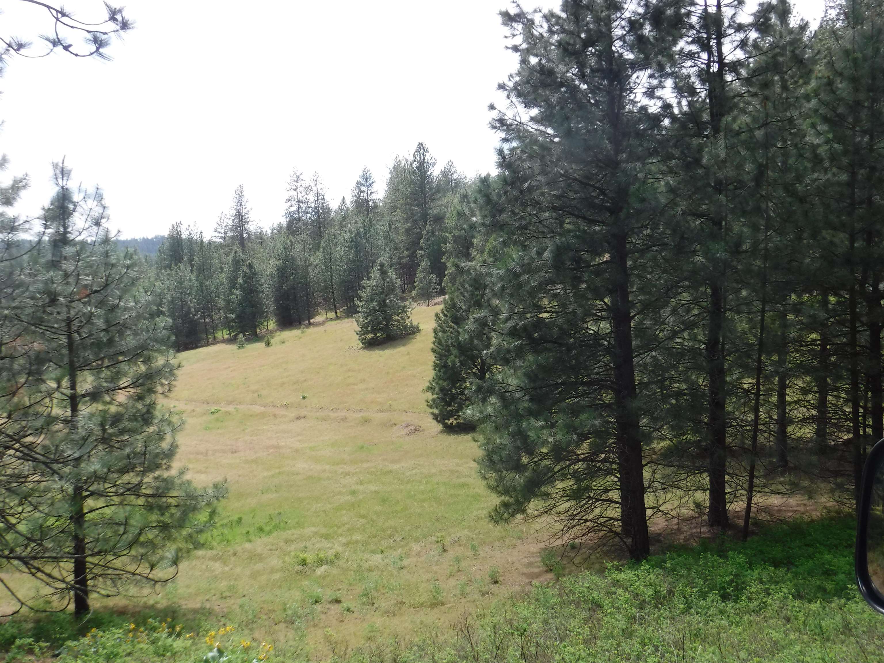 XX Woolard Rd - Photo 12