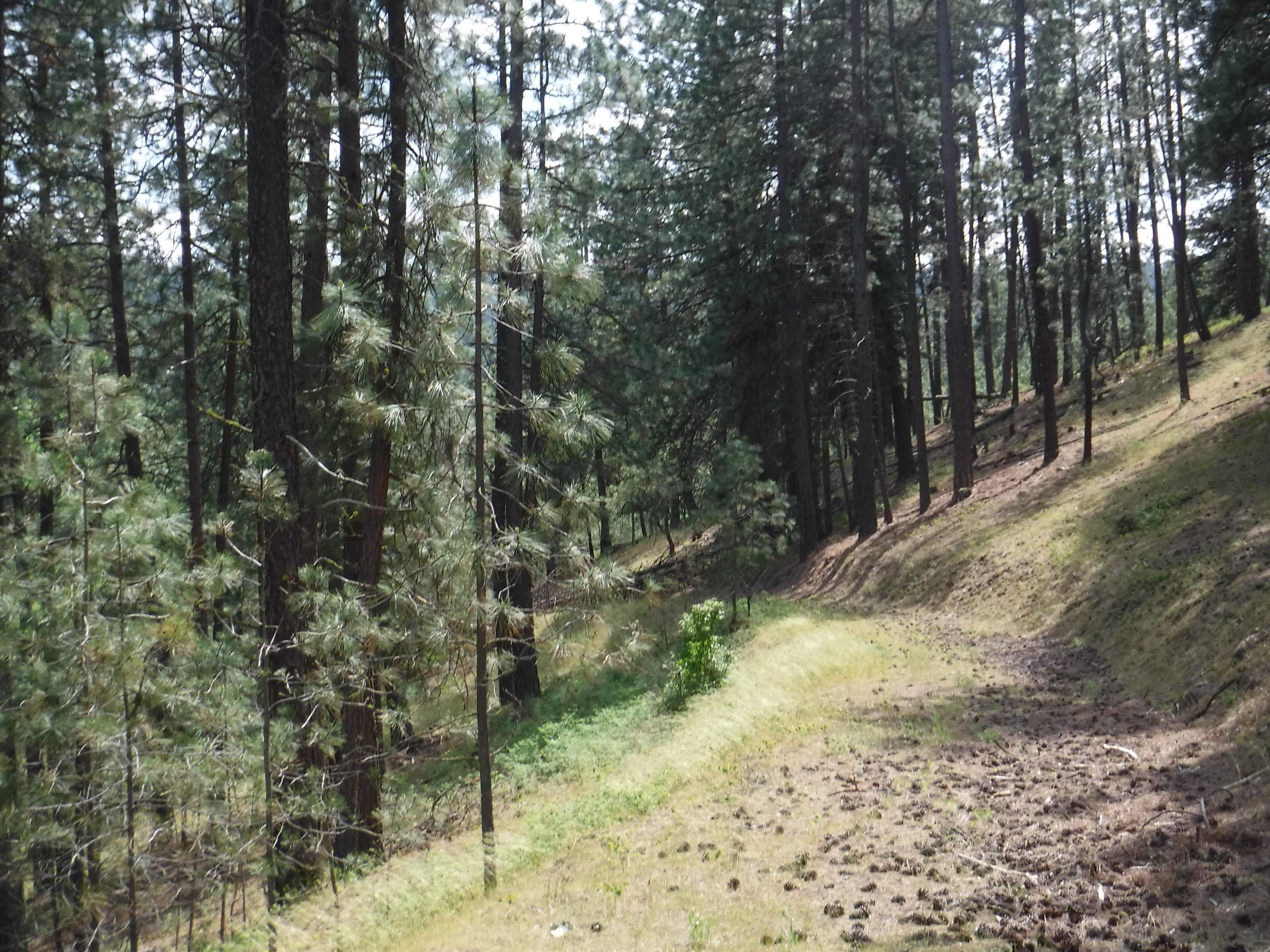 XX Woolard Rd - Photo 8