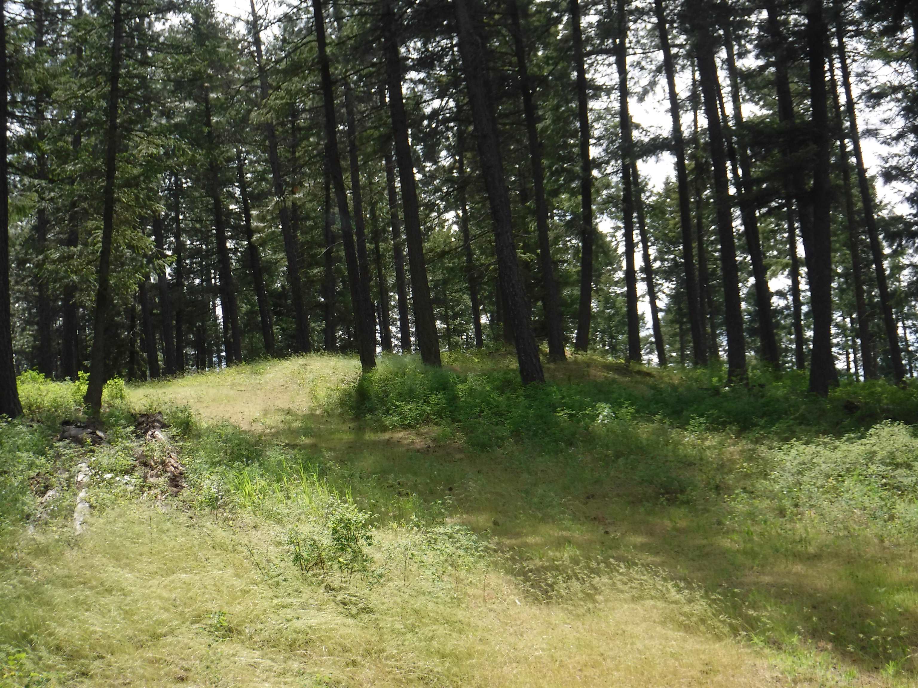 XX Woolard Rd - Photo 13