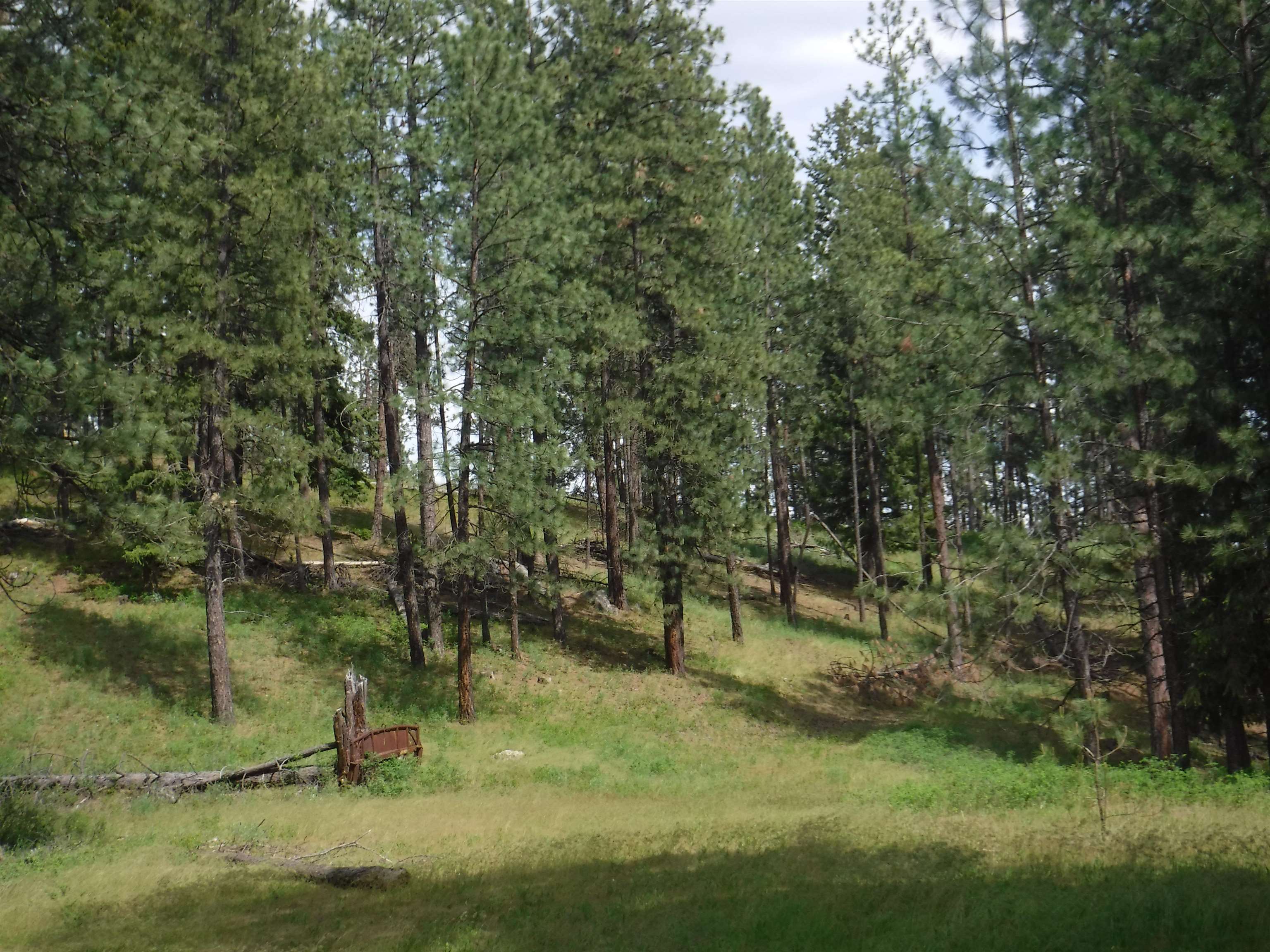 XX Woolard Rd - Photo 15