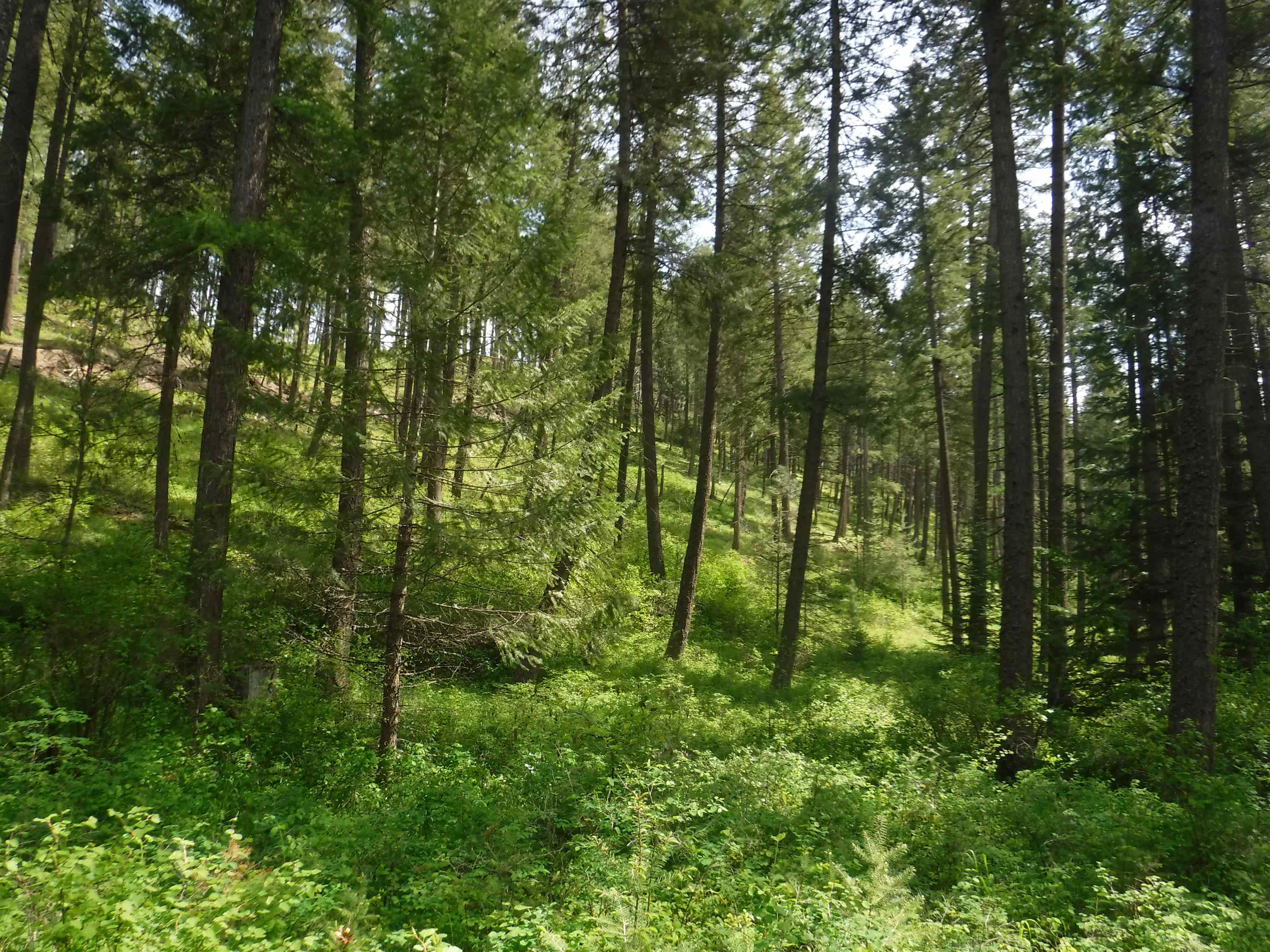 XX Woolard Rd - Photo 17