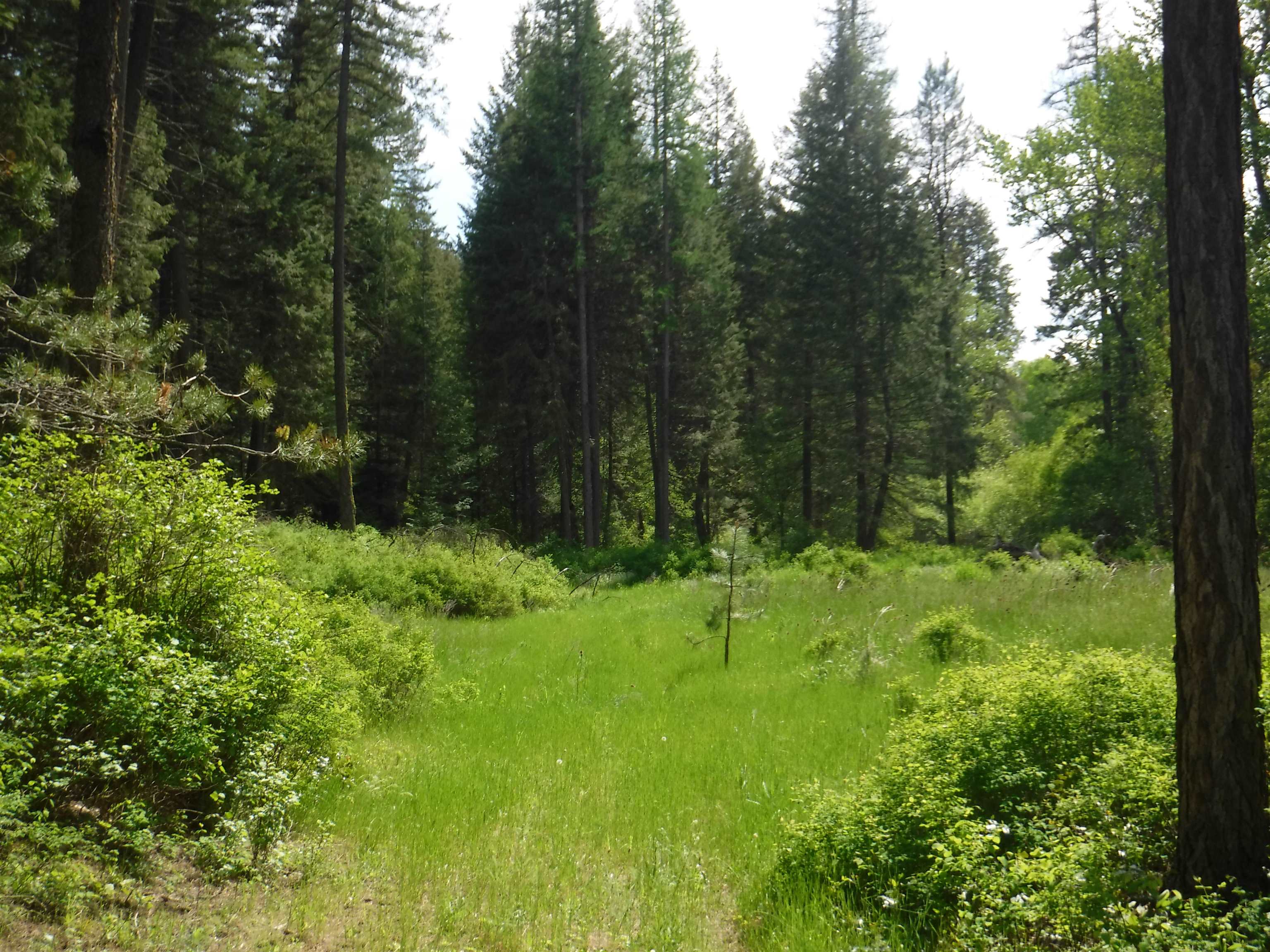 XX Woolard Rd - Photo 5