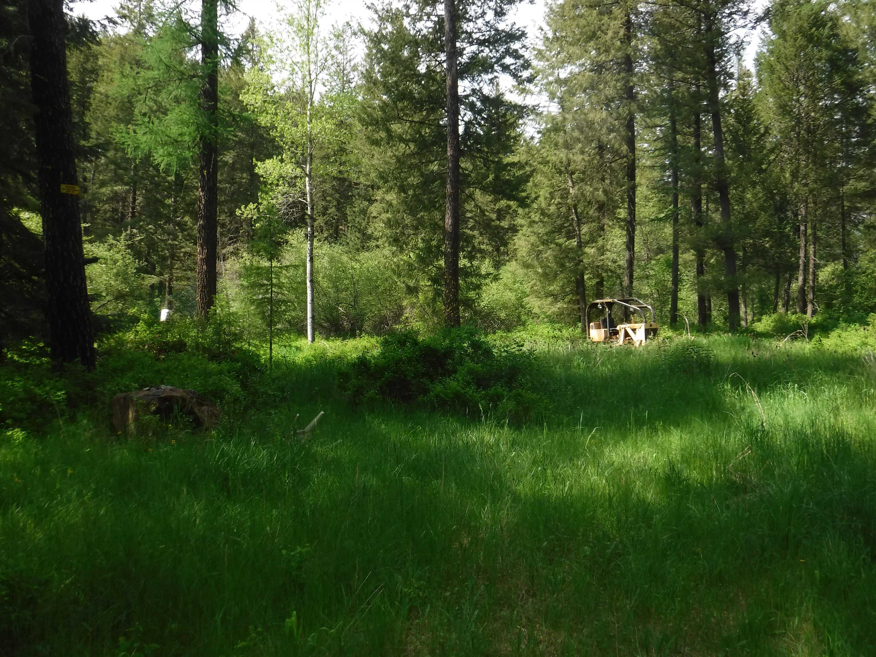 XX Woolard Rd - Photo 20