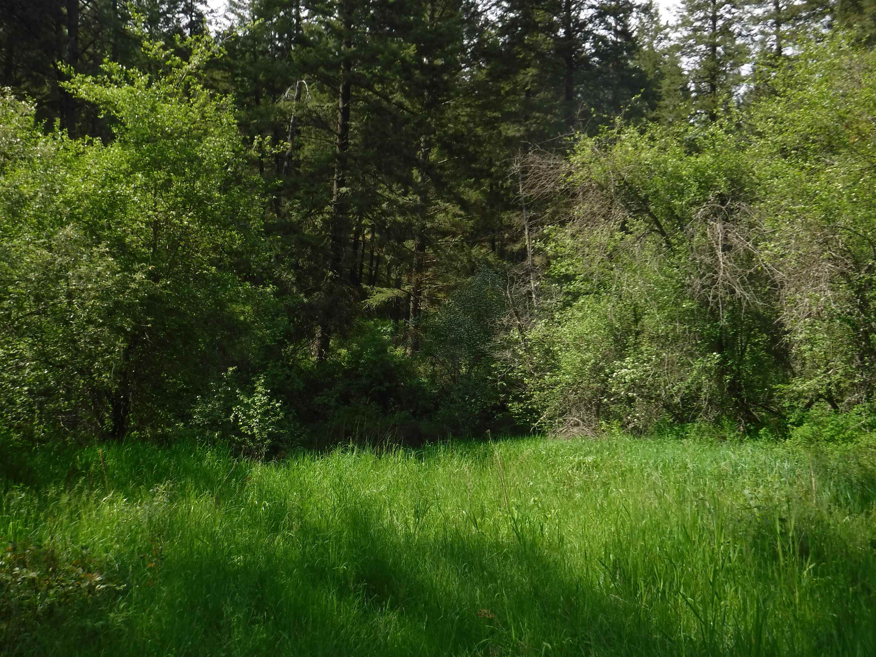 XX Woolard Rd - Photo 21