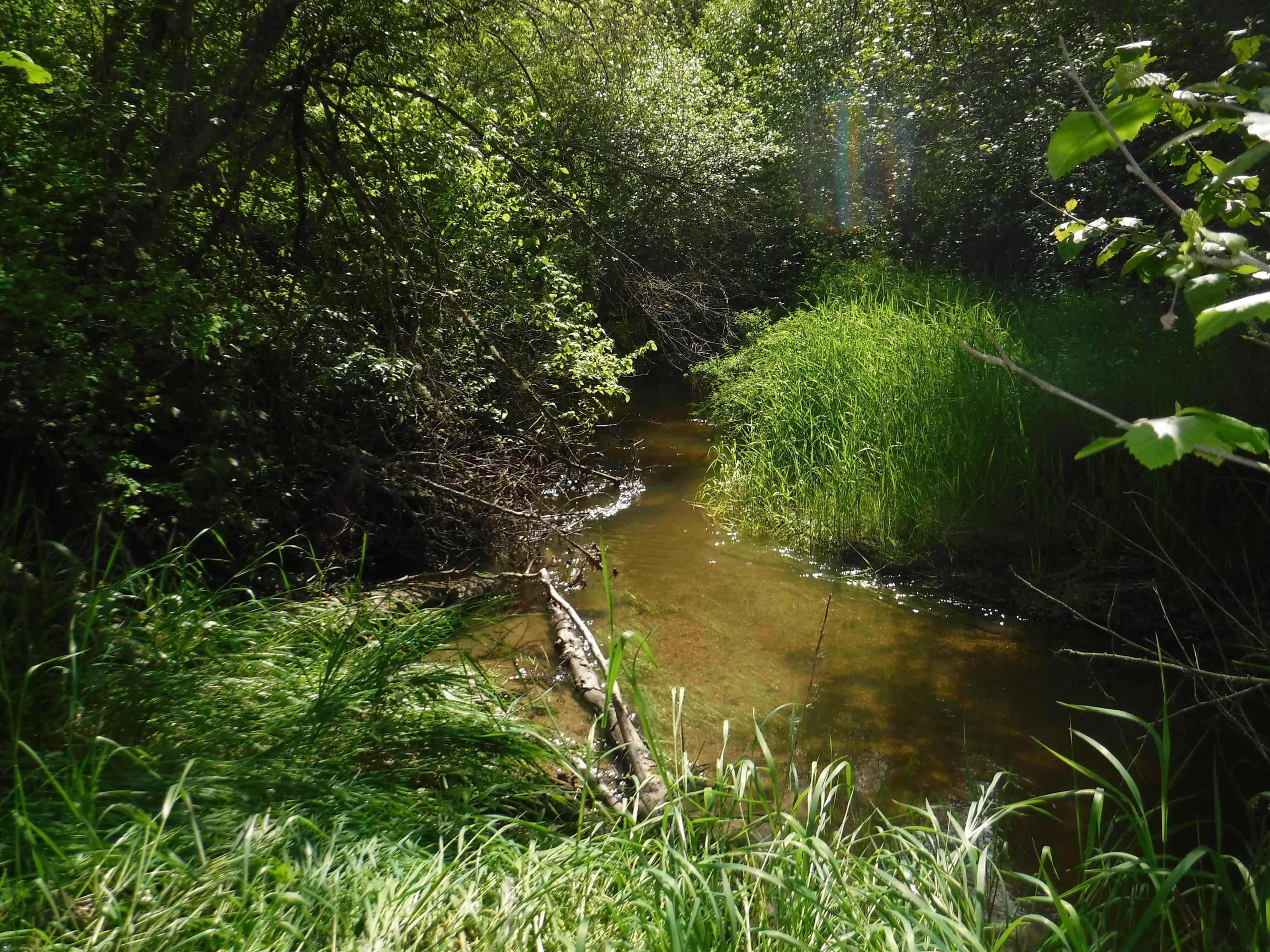 XX Woolard Rd - Photo 22