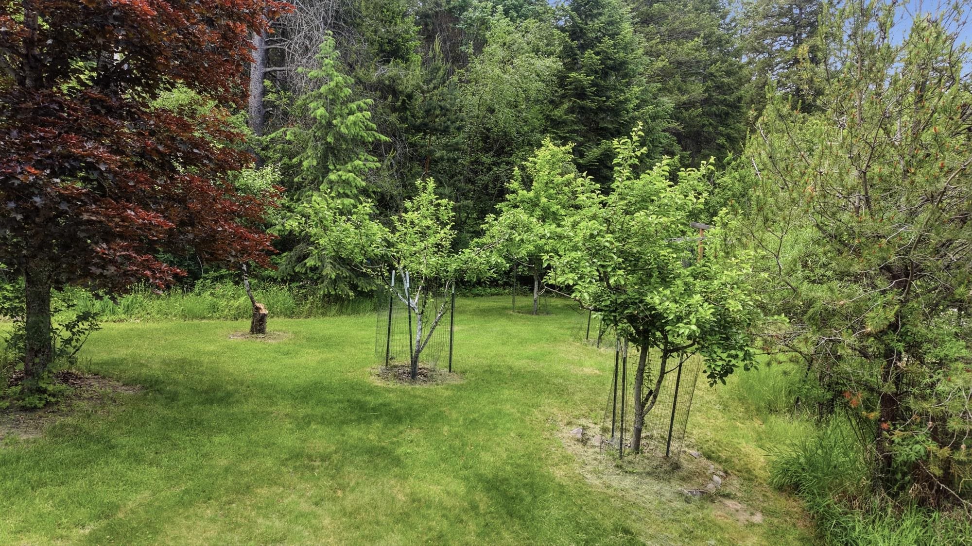 6414 E Chattaroy Rd Rd - Photo 40