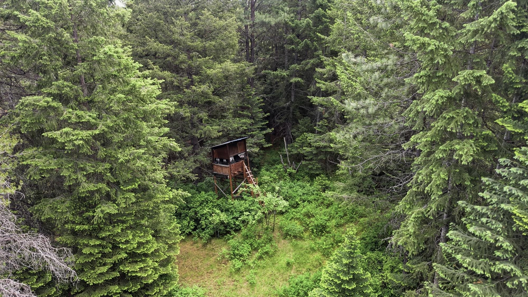 6414 E Chattaroy Rd Rd - Photo 41