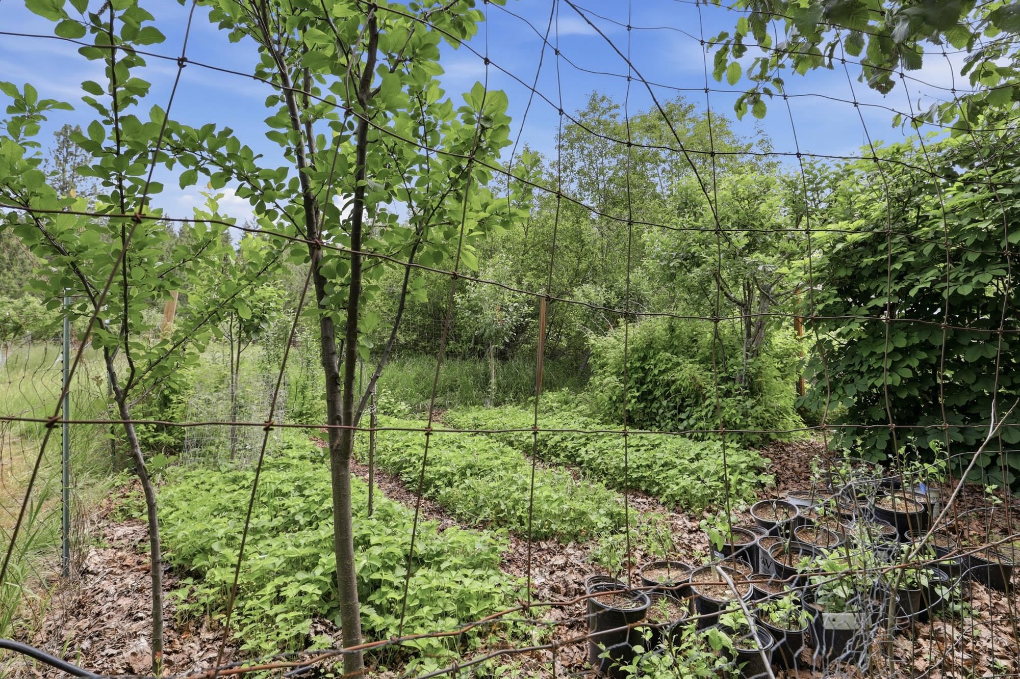 6414 E Chattaroy Rd Rd - Photo 42