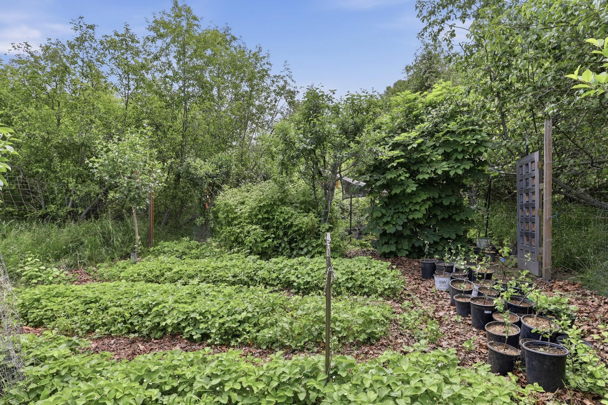 6414 E Chattaroy Rd Rd - Photo 43