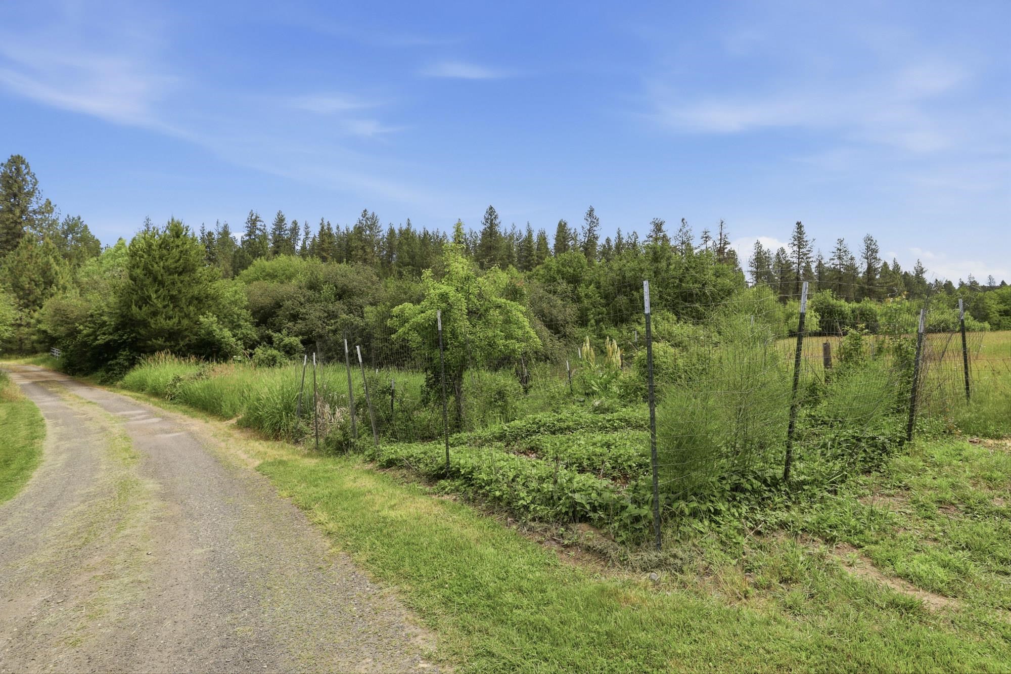 6414 E Chattaroy Rd Rd - Photo 44