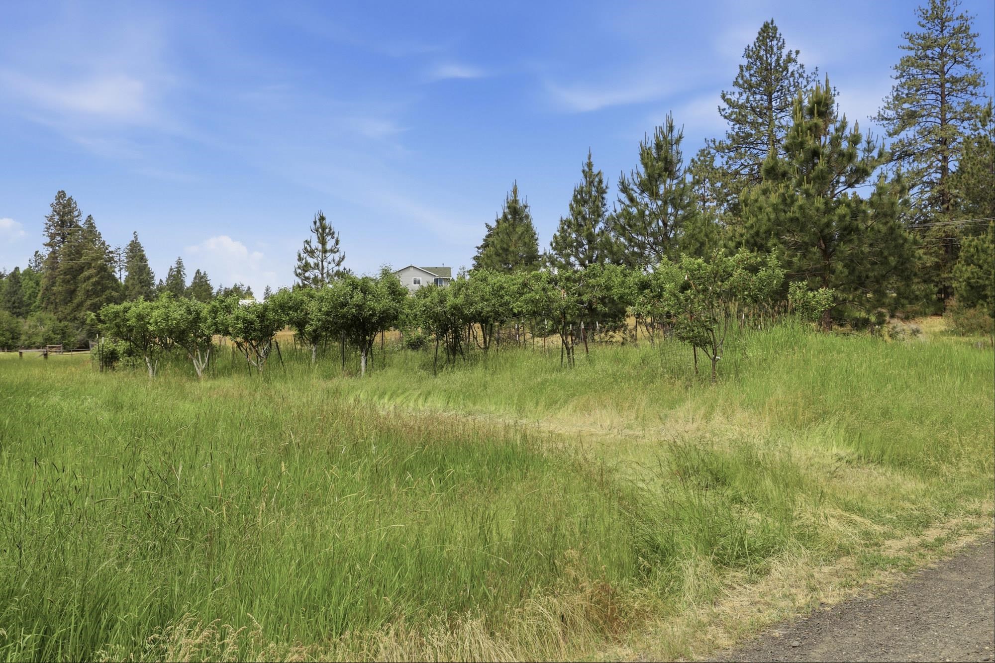 6414 E Chattaroy Rd Rd - Photo 45