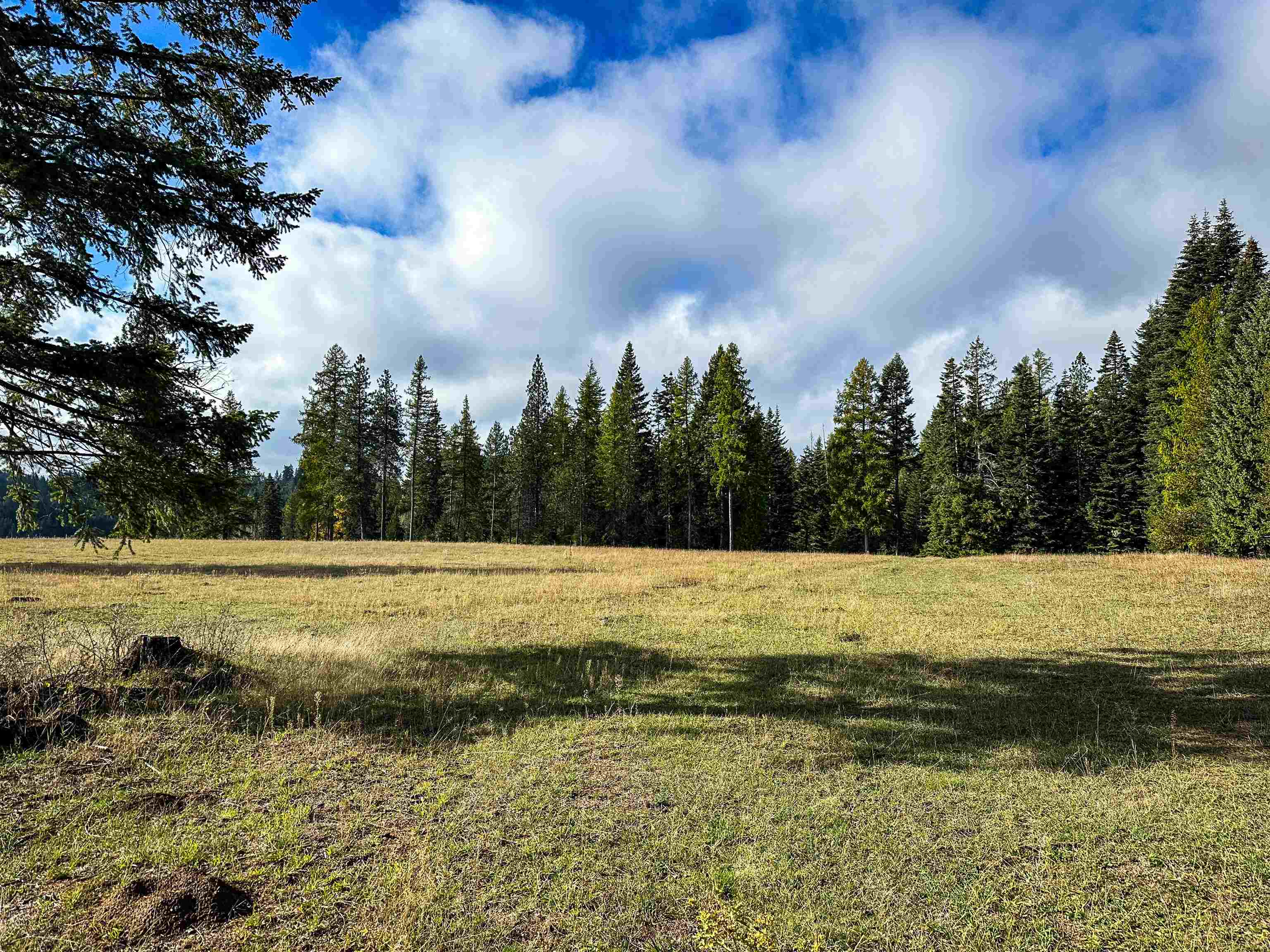 320871 Highway 2 - Photo 3