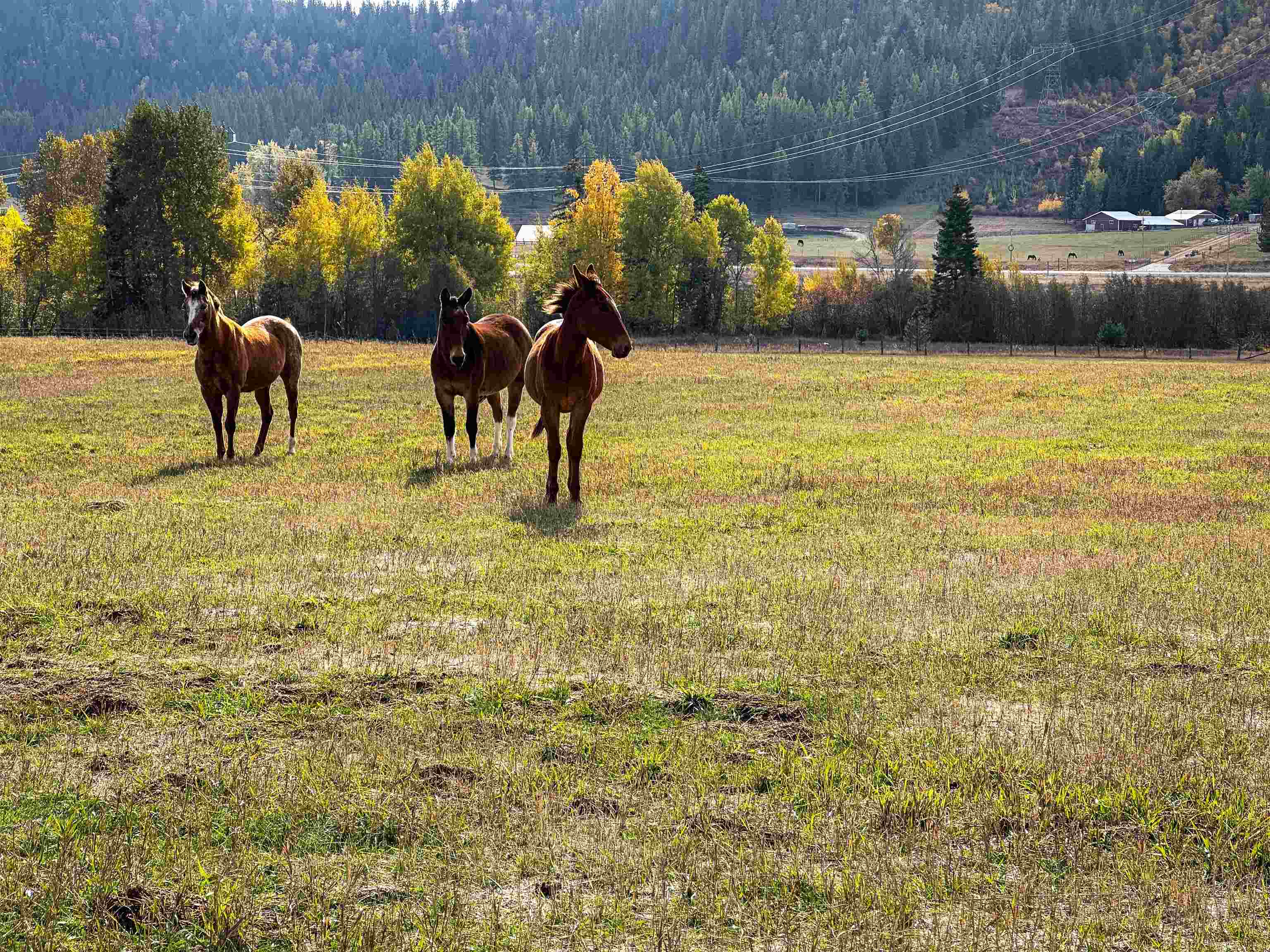 320871 Highway 2 - Photo 24